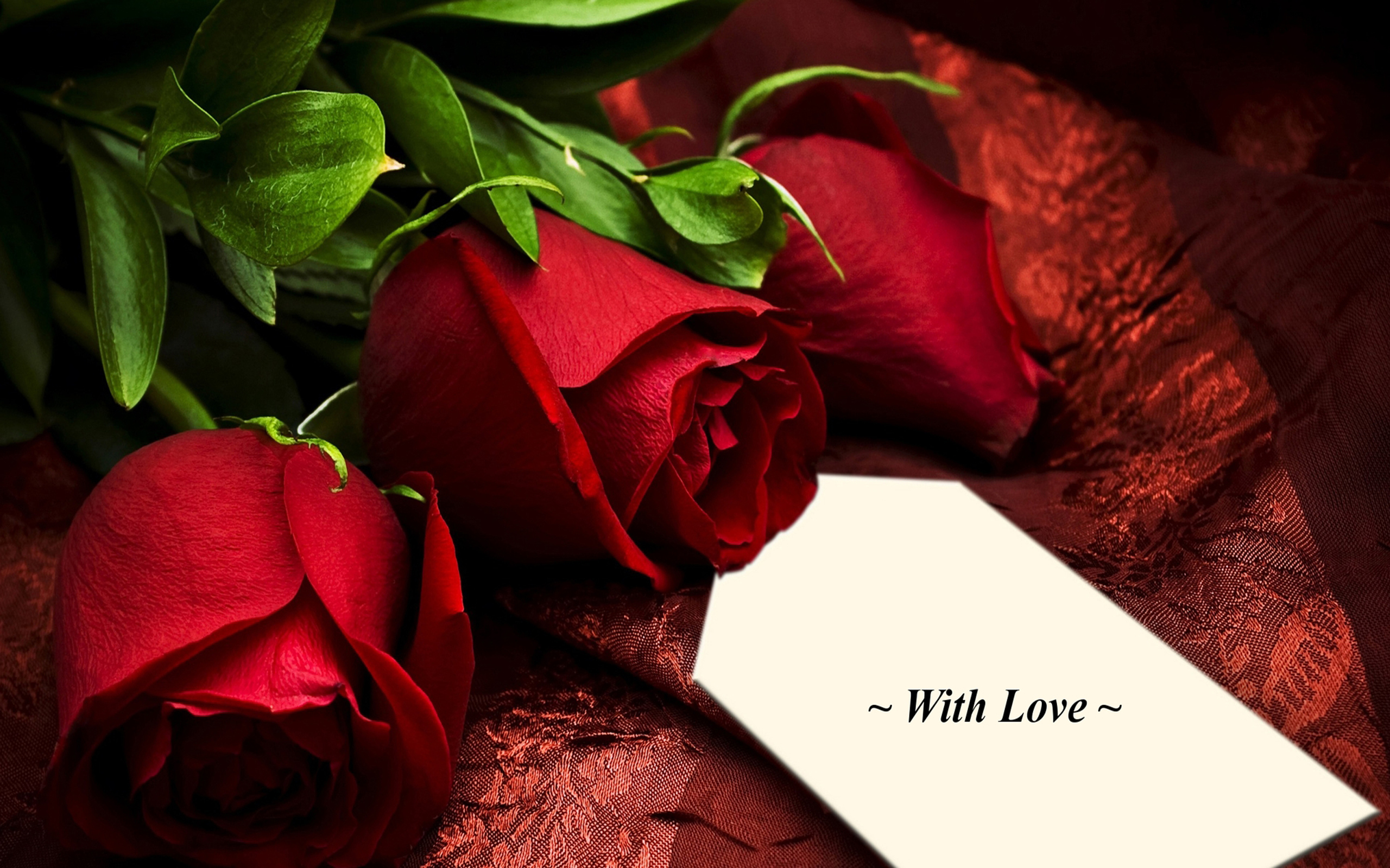 Romance Pretty Red Roses Romantic Rose With Love 1937404 : Wallpapers13.com