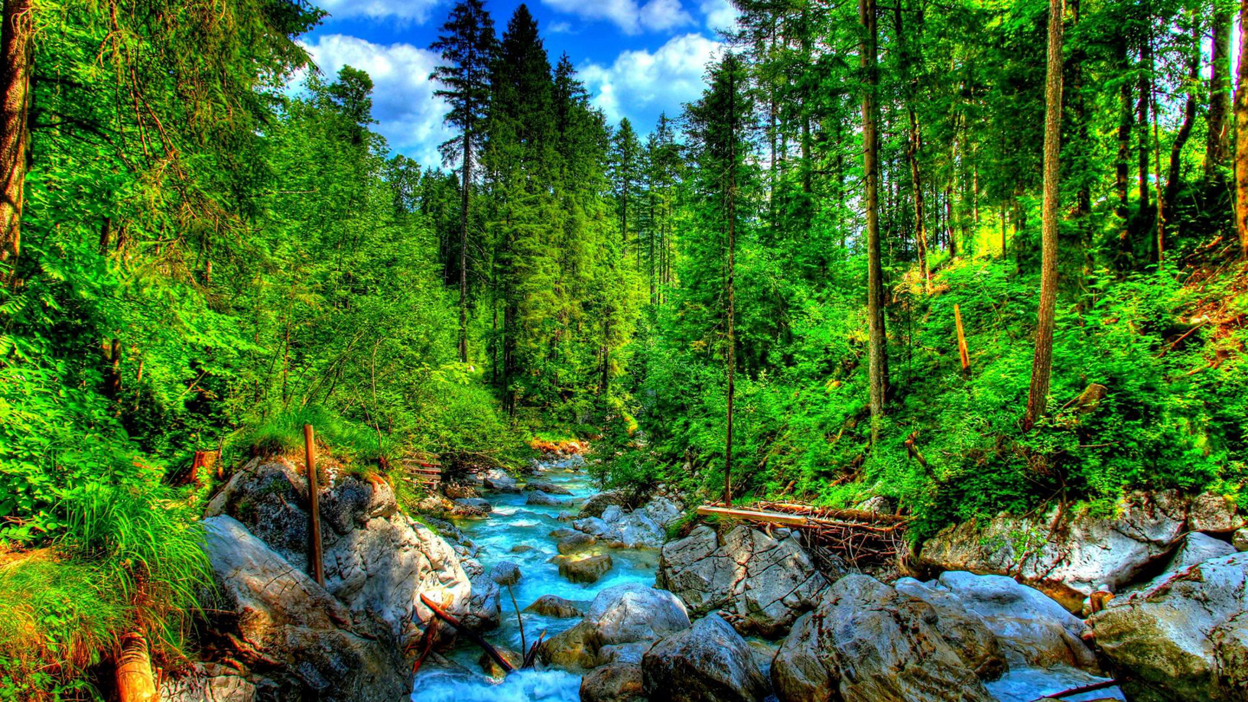 Lovely Forest Creek Hdr Hd Wallpaper 505455