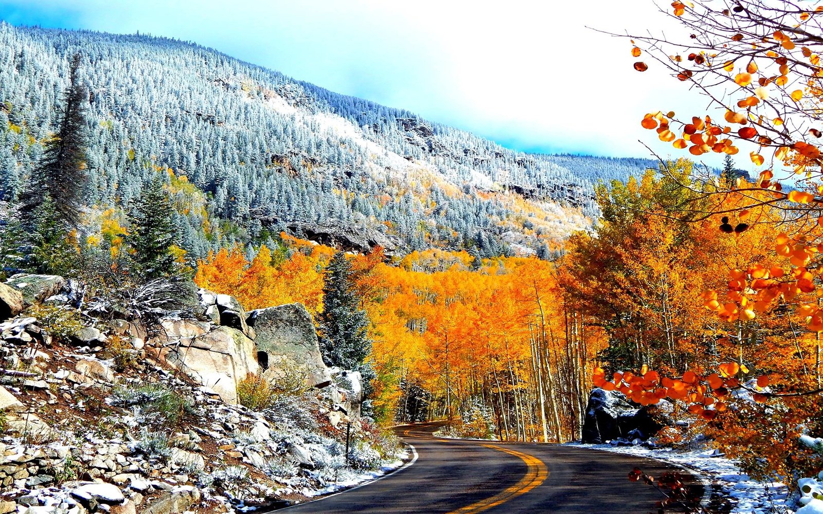 Colors Of Aspen Colorado Road Fall Trees Hd Wallpaper ...
