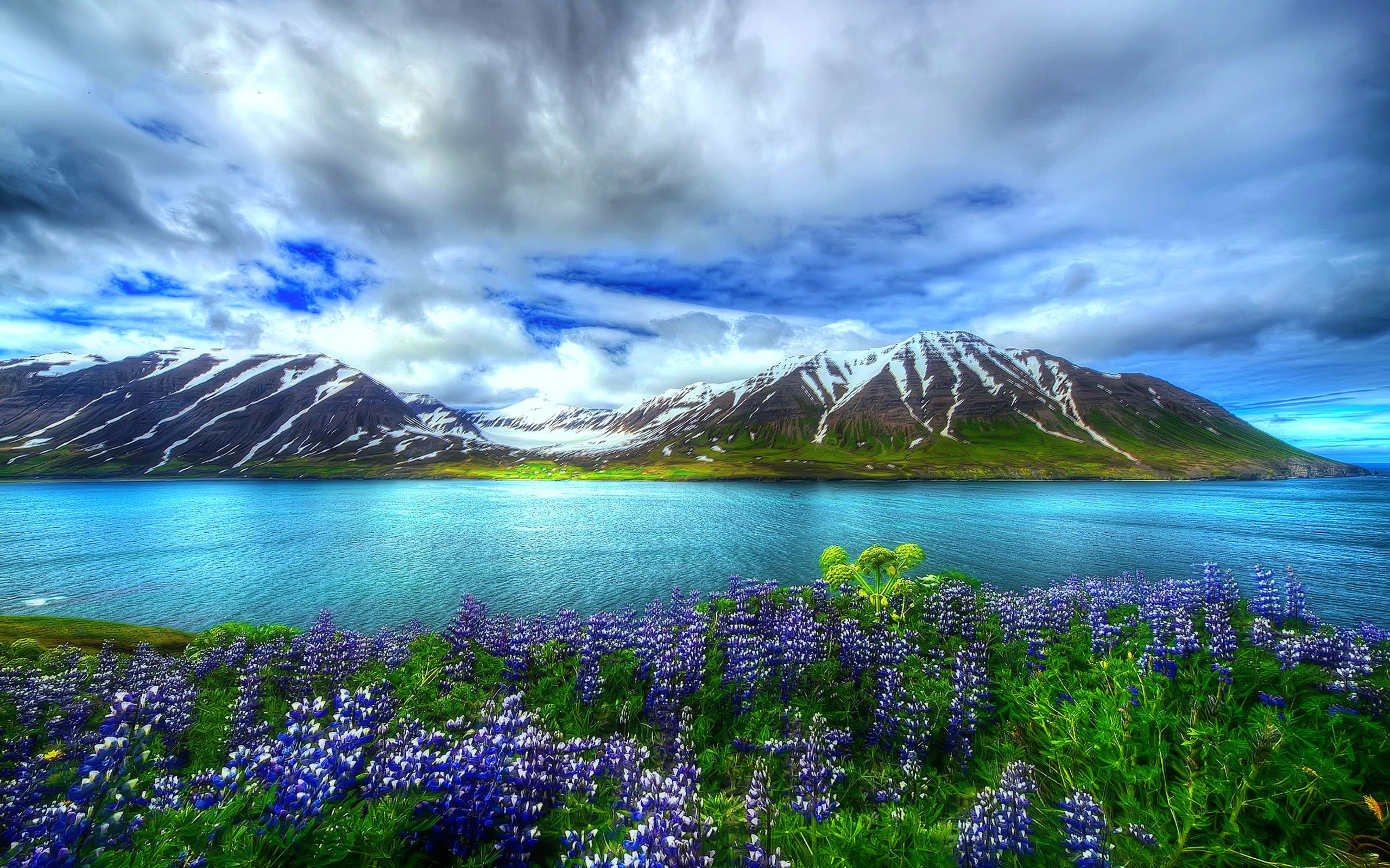 Nature Beautiful Hd Wallpaper Mountain Lake Flowers Sky