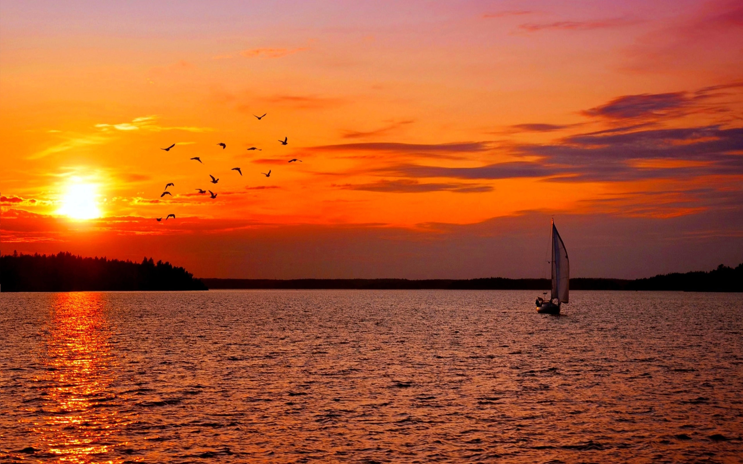 Sunset Sailing Birds Sweden Boat Nature Ultra X Hd My XXX Hot Girl pic