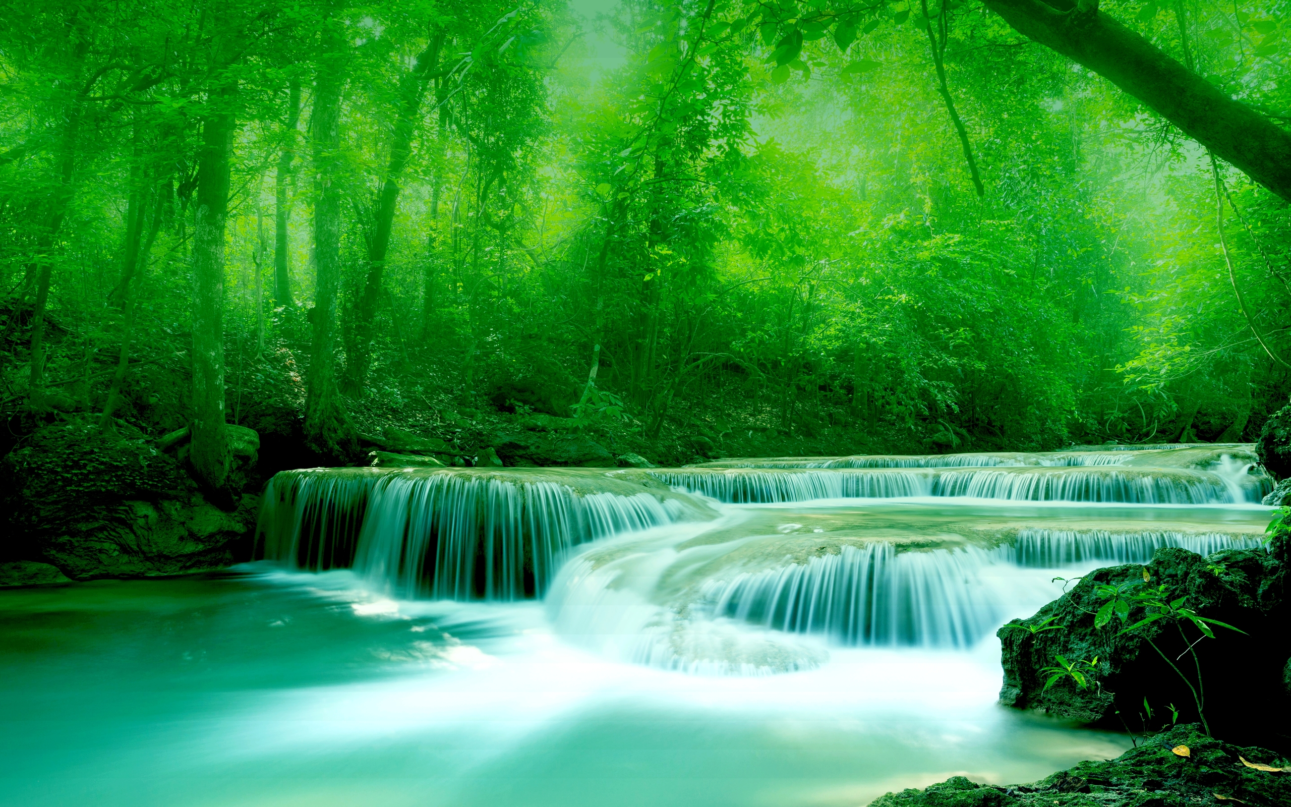 Wallpaper River, Water, Rocks, Trees, Greenery Free Wallpapers Download