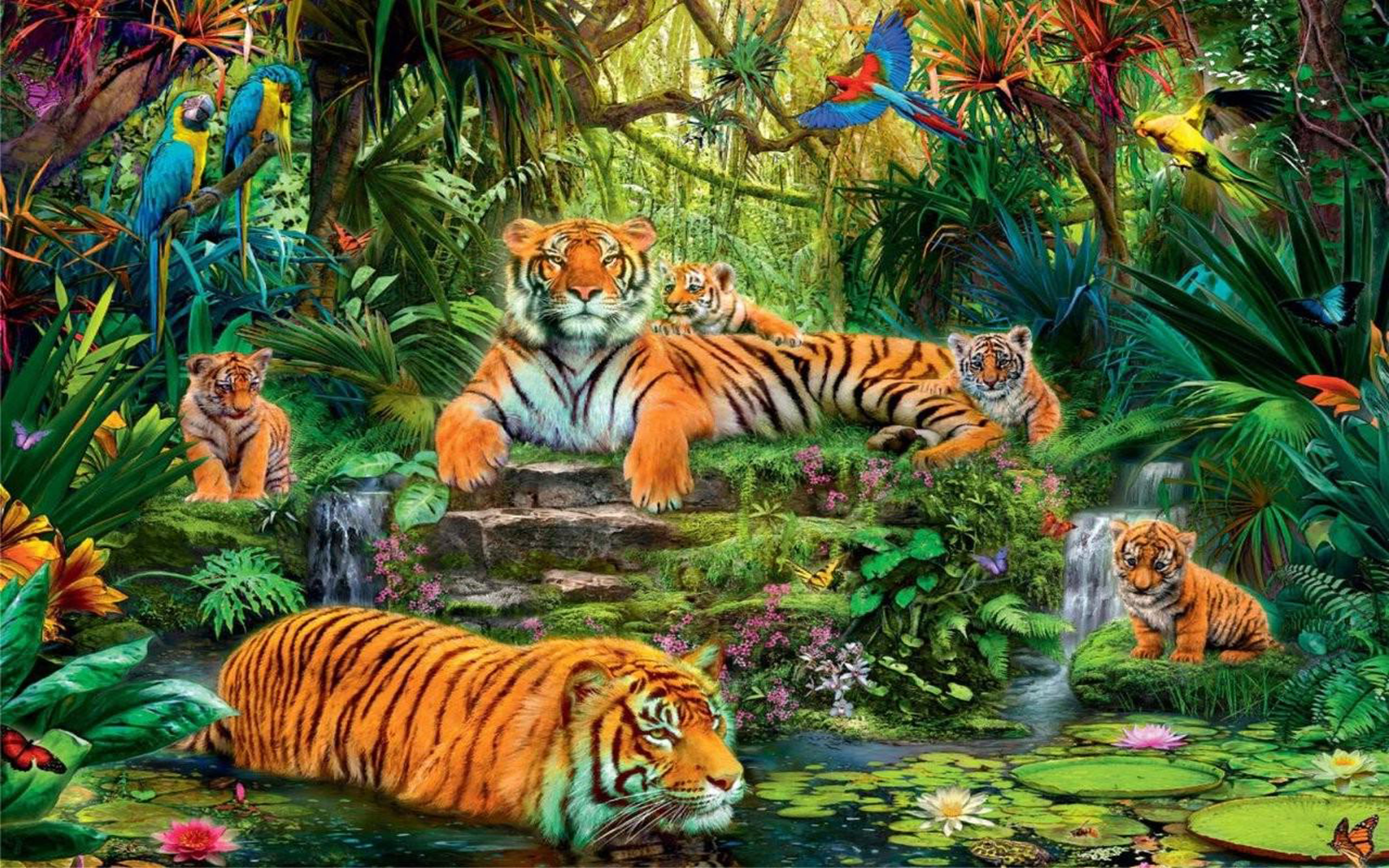 Animal Kingdom Jungle Tigers Birds Hd Wallpaper : Wallpapers13.com