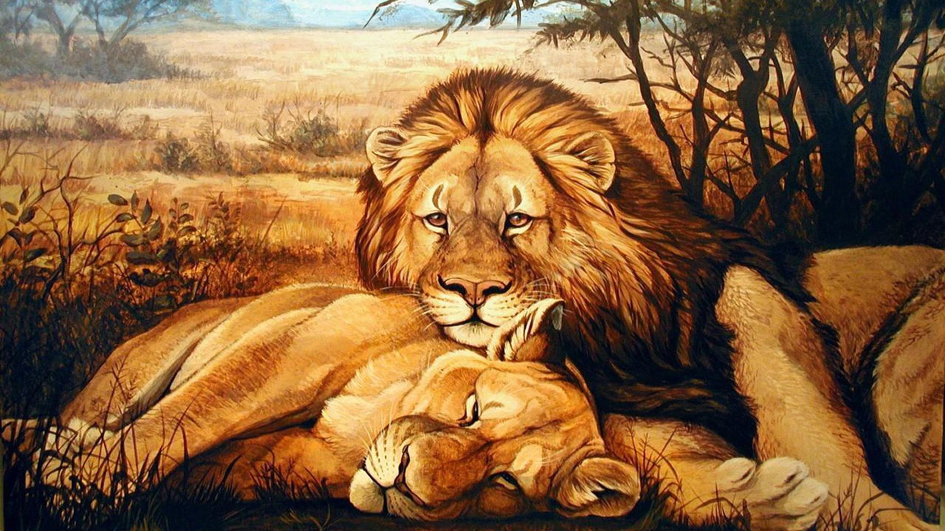 Animals Lion Lioness Relaxing Hd Wallpaper : Wallpapers13.com