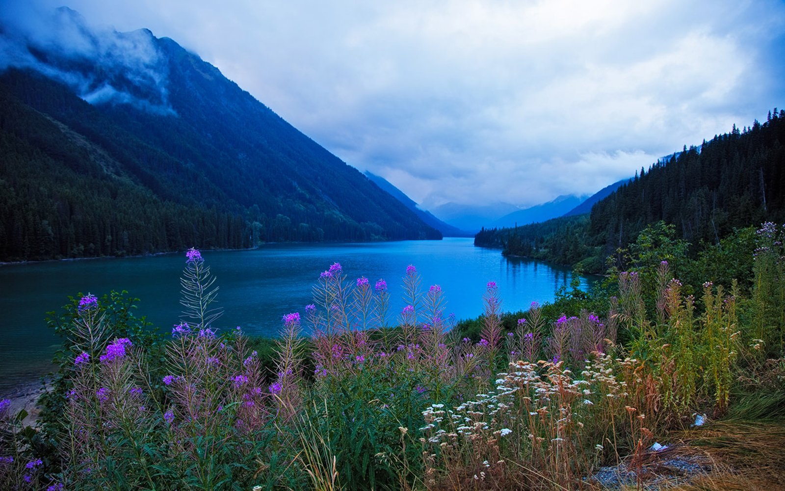 Beautiful Scenery And Mountainous River Flowers Green Trees Vegetation