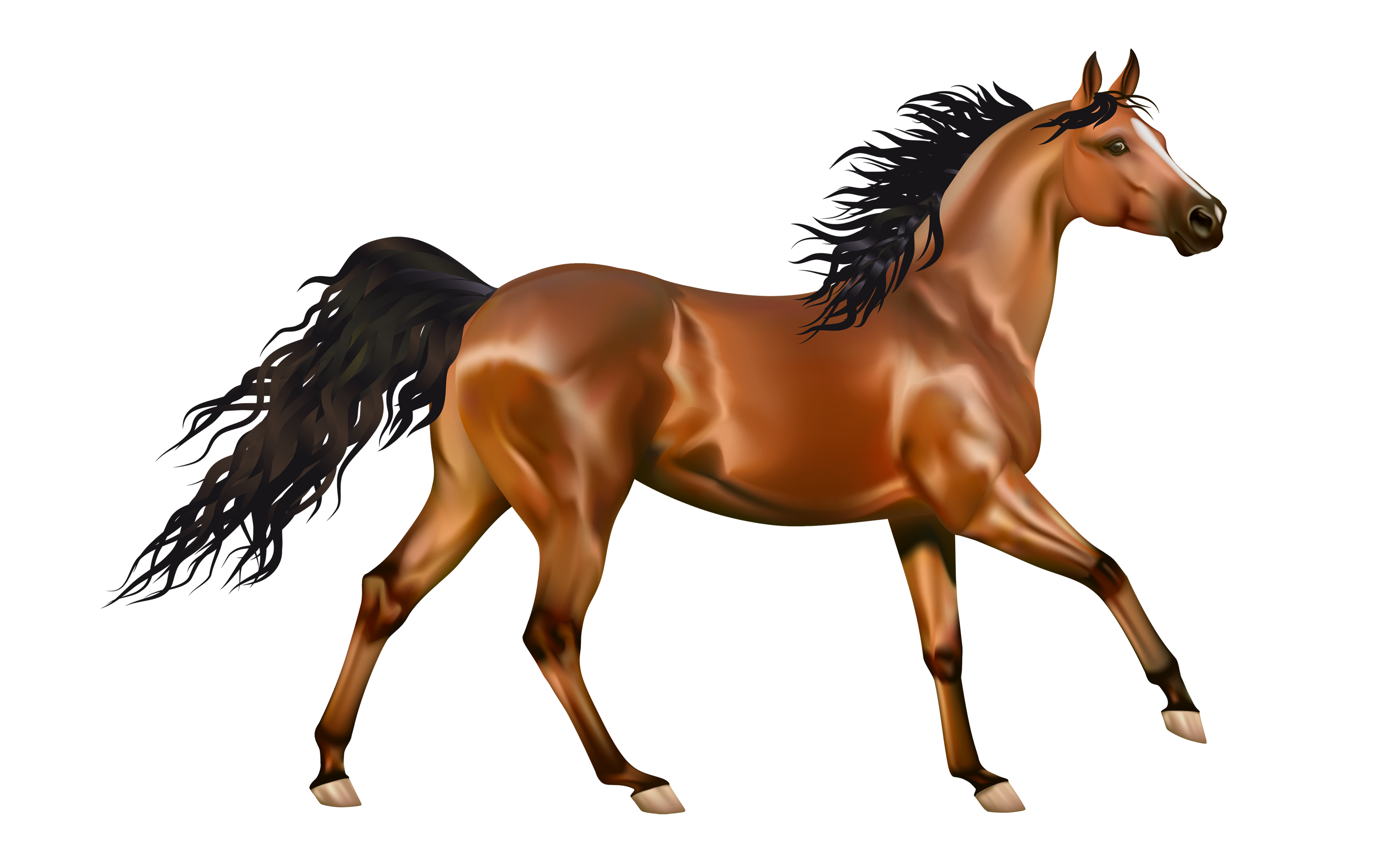 horse background clipart - photo #11