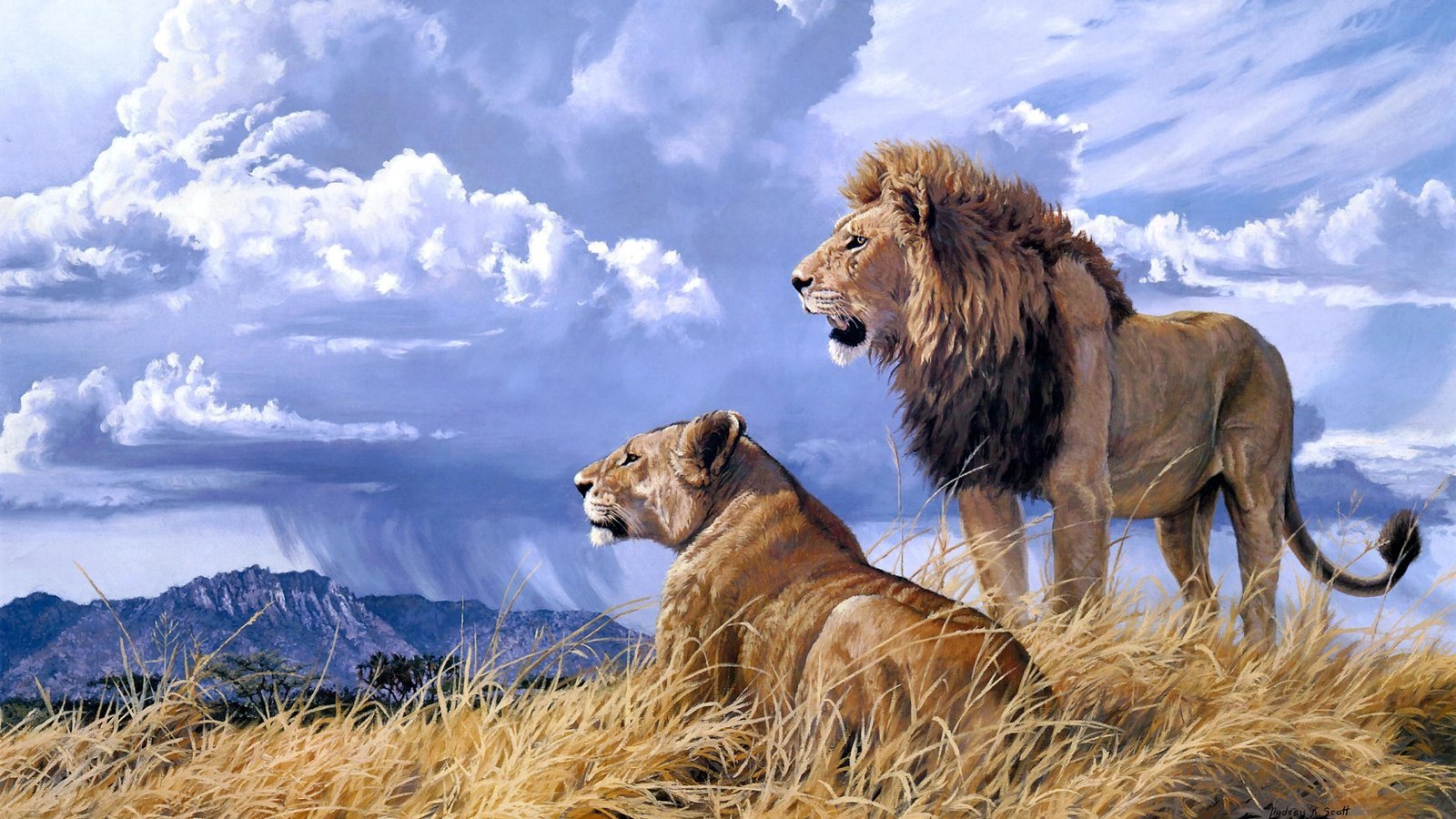 Pride Art Lion Animals Ultra 3840x2160 Hd Wallpaper : Wallpapers13.com