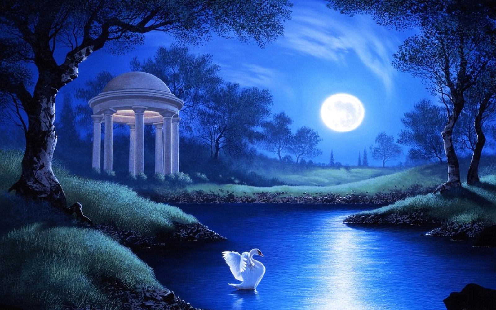 Swan Lake Night Full Moon Trees Grass Hd Wallpaper : Wallpapers13.com