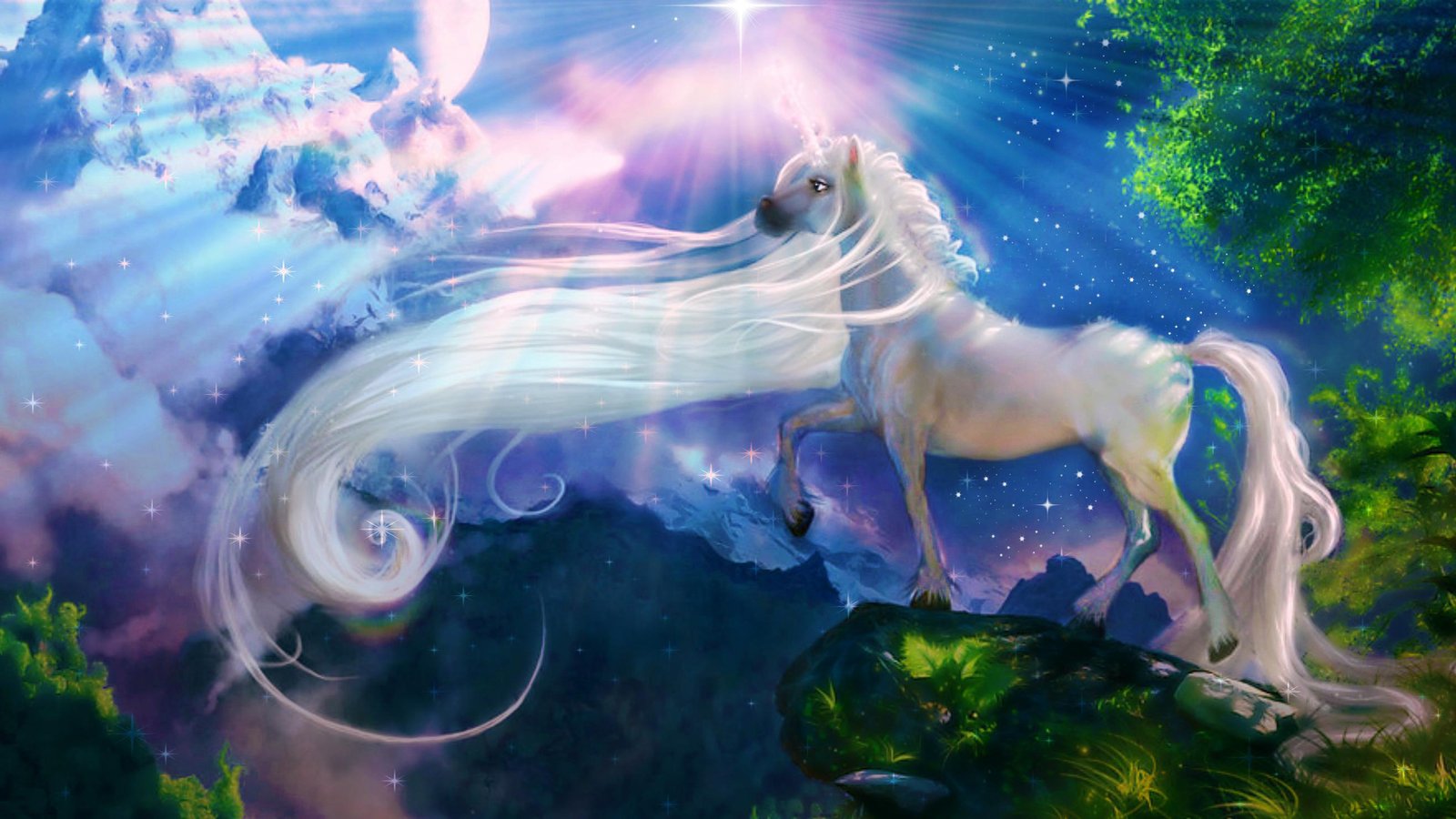 White Horse Unicorn Fantasy Art Wallpaper Hd : Wallpapers13.com