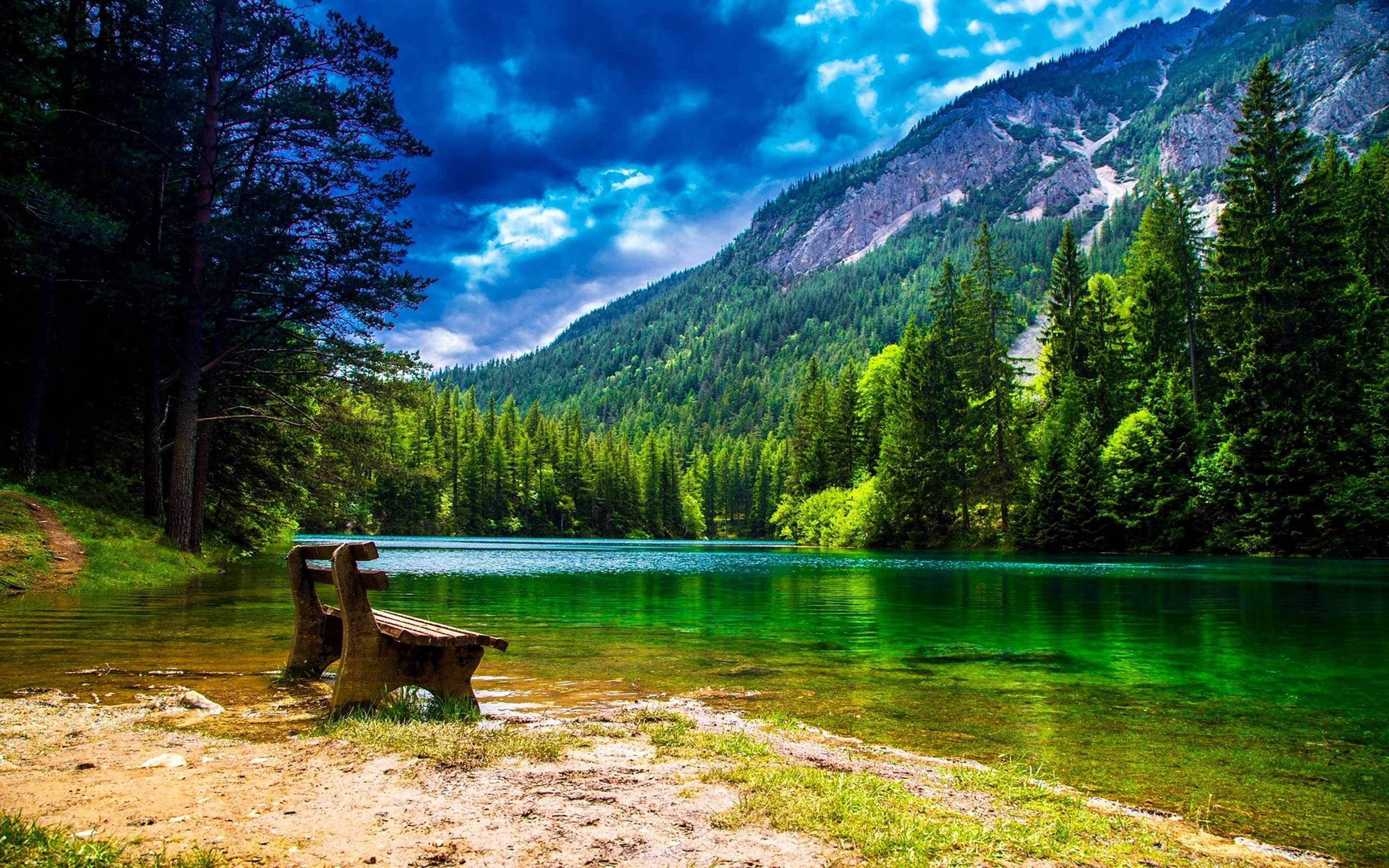 Wonderful Mountain Landscape With Green Pine Forest Green ...
