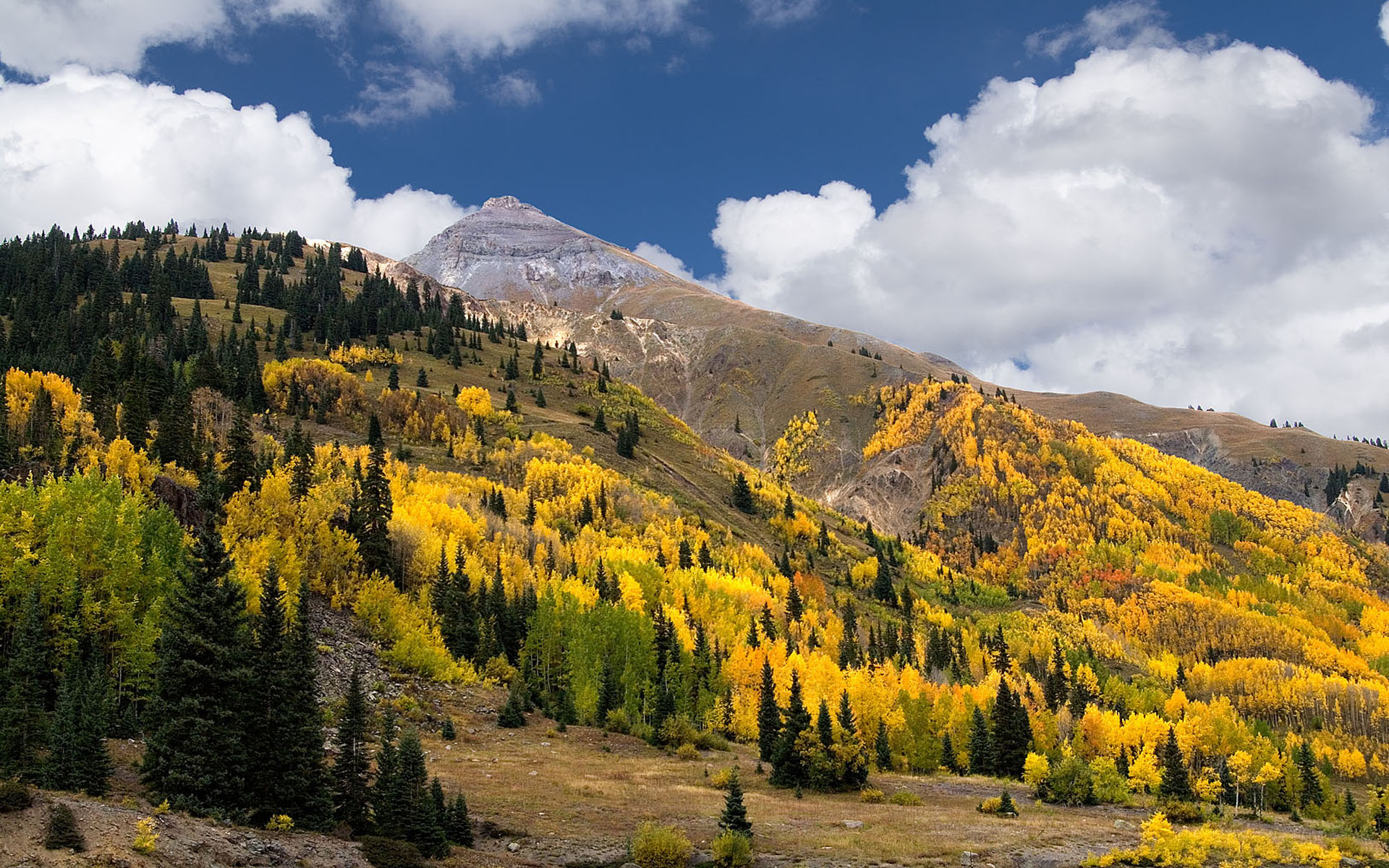 Autumn colors in the mountains of San Juan Colorado