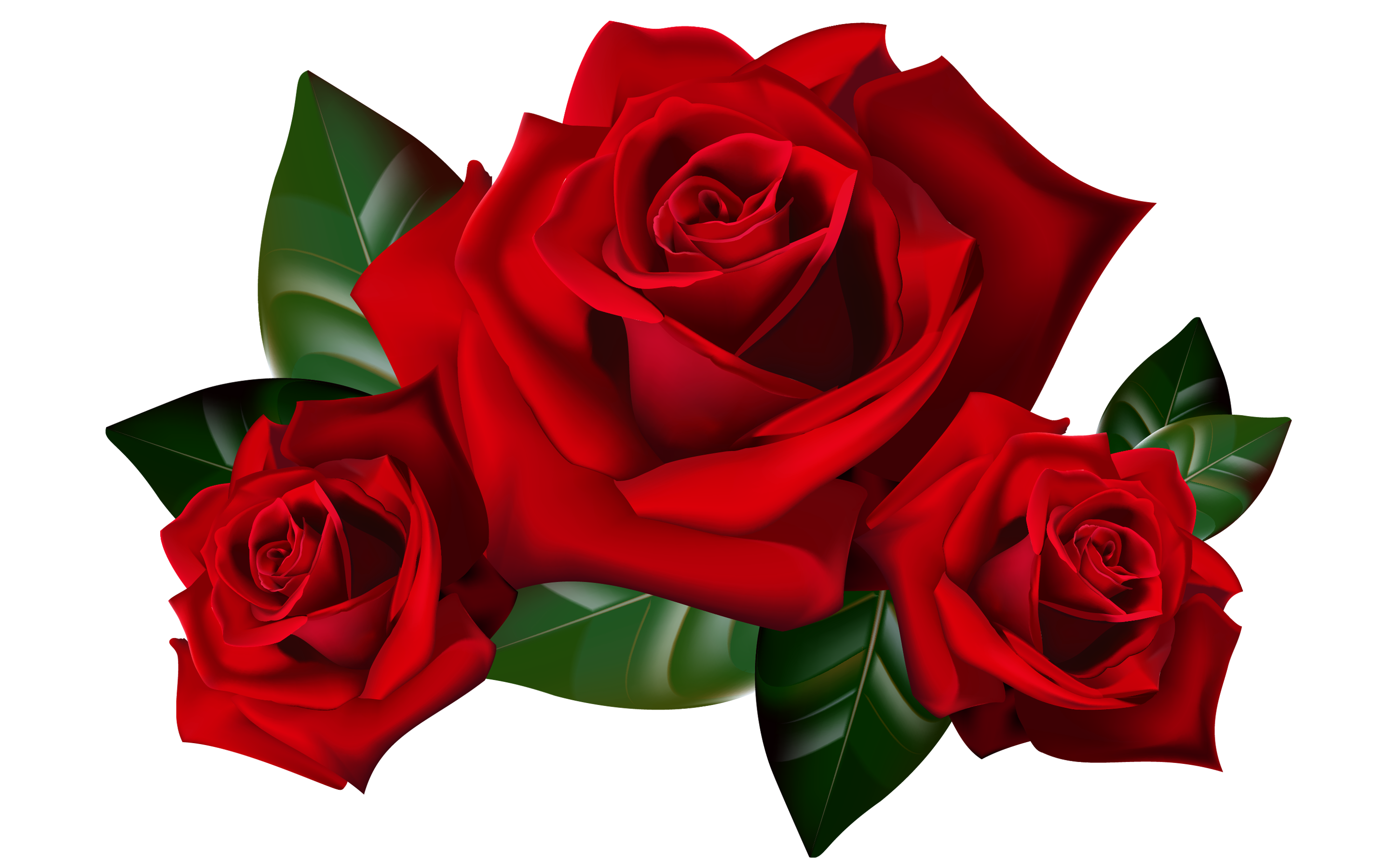 Red Roses Png Clipart Picture Hd Desktop Wallpaper Widescreen