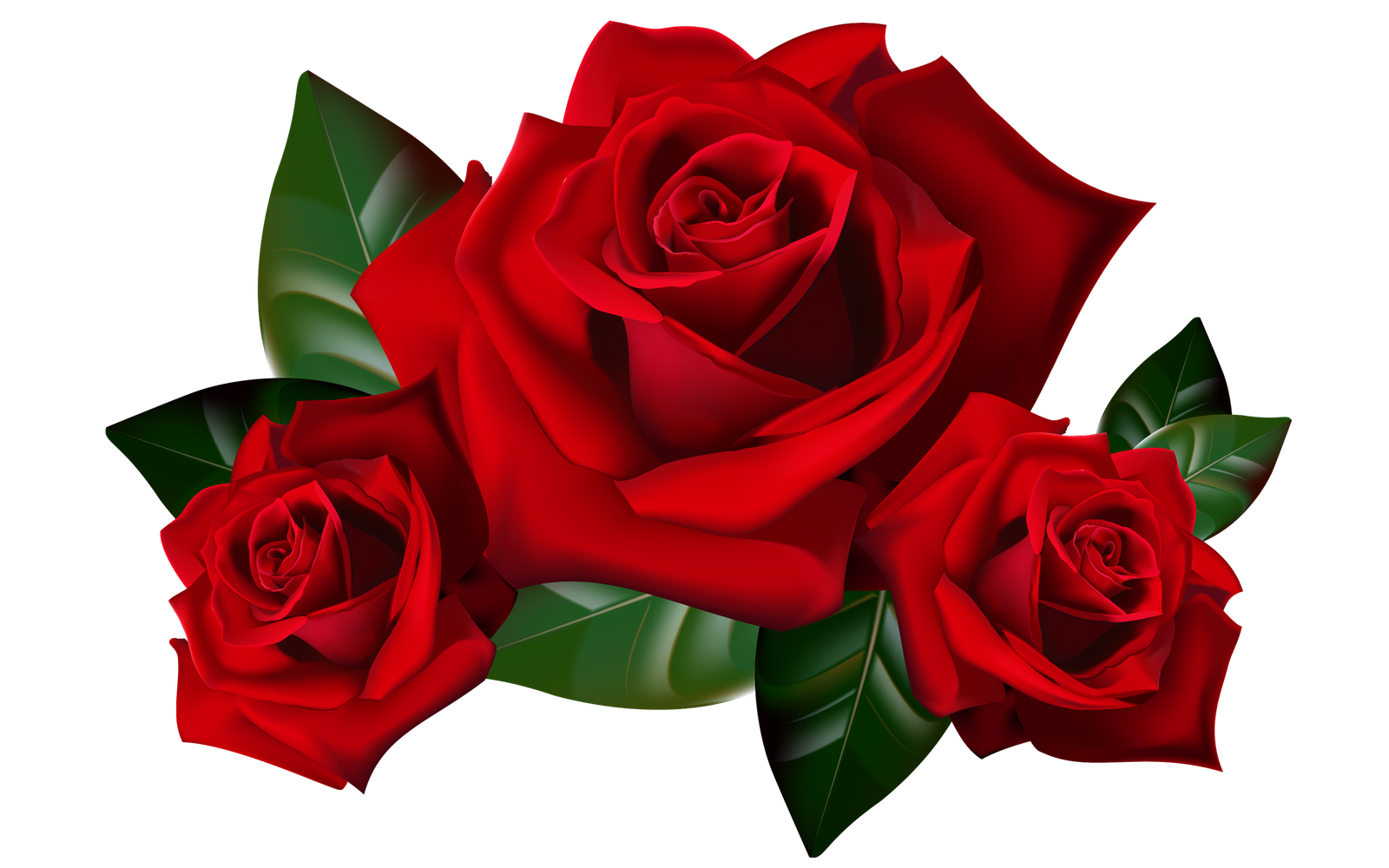 Red Roses Png Clipart Picture Hd Desktop Wallpaper Widescreen