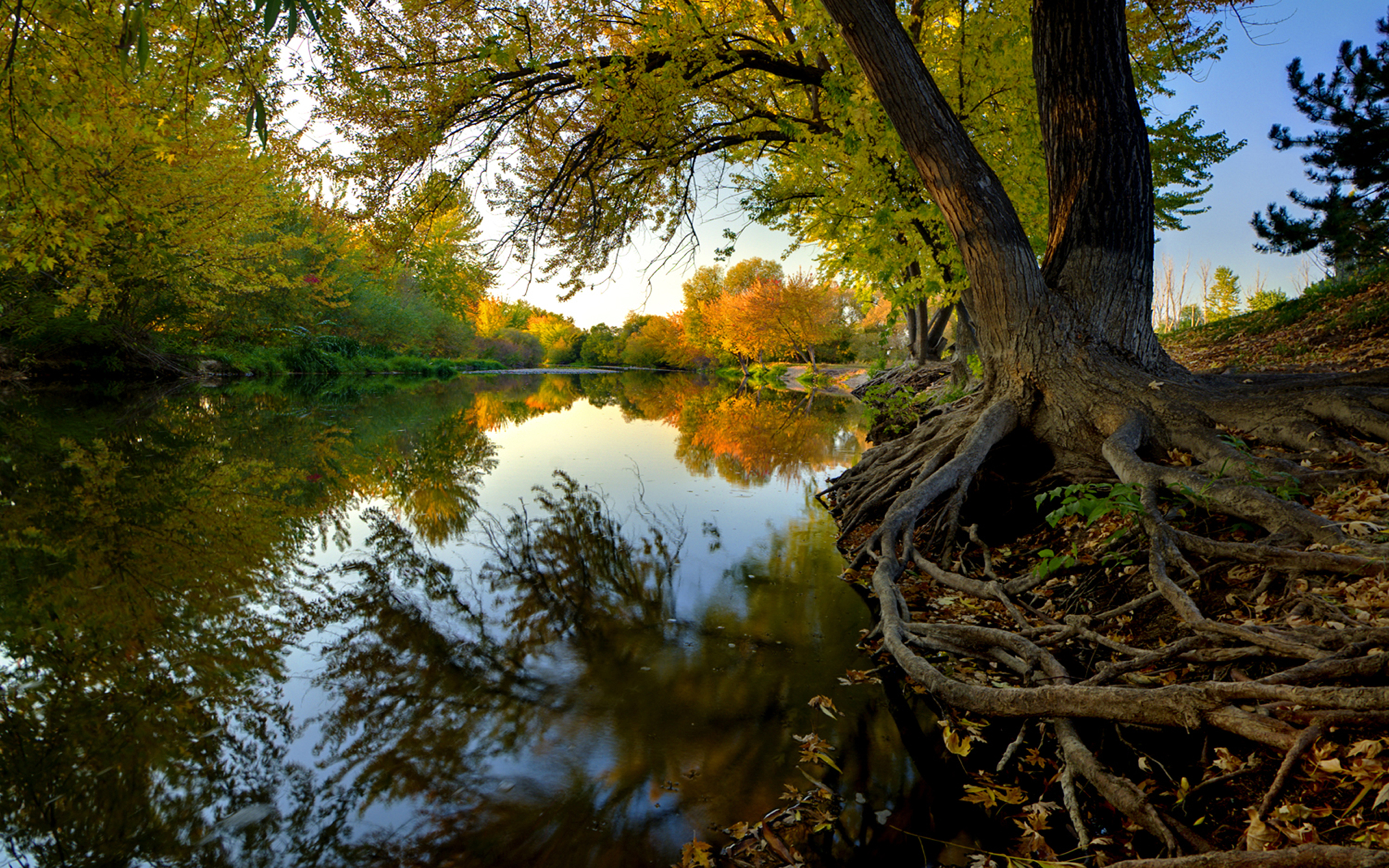 Autumn Boise River Usa Beautiful Desktop Wallpaper Hd Resolution