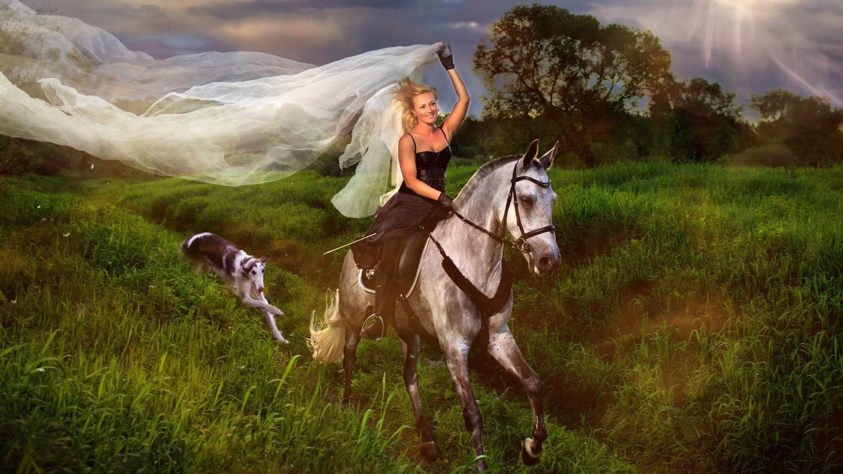 Blue Girl Jockey And White Horse Hair Veil Field With Green Grass, Road