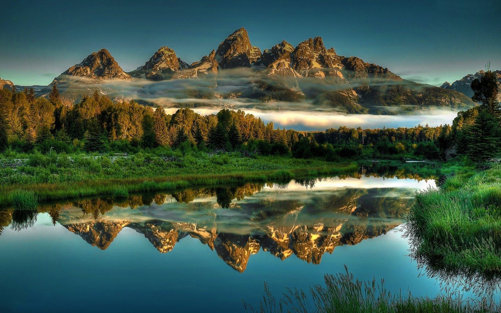 Landscape Rocky Mountain Peaks Pine Forest Mist Evaporation Greener