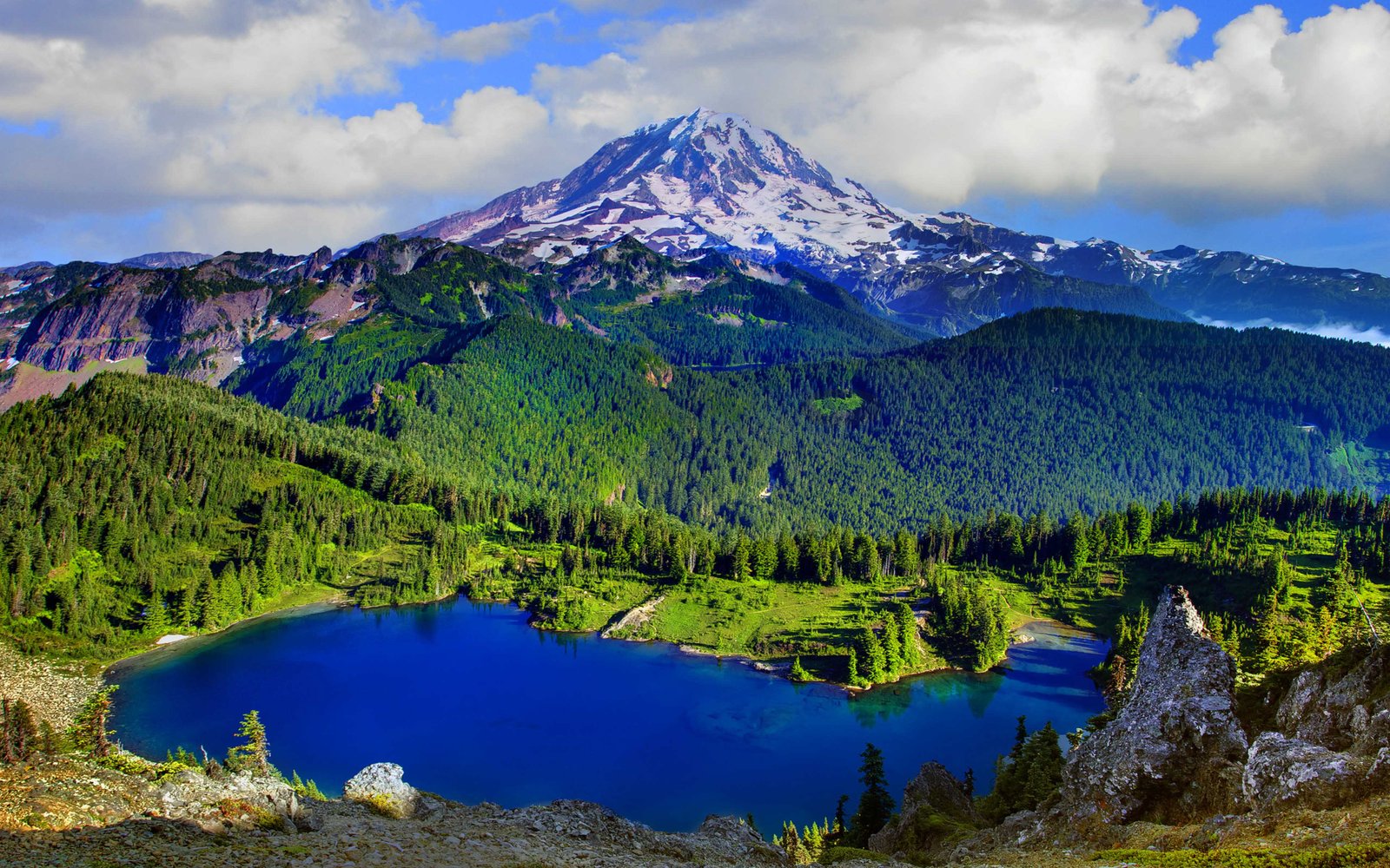 Mount Rainier National Park Washington United States Wallpaper Hd