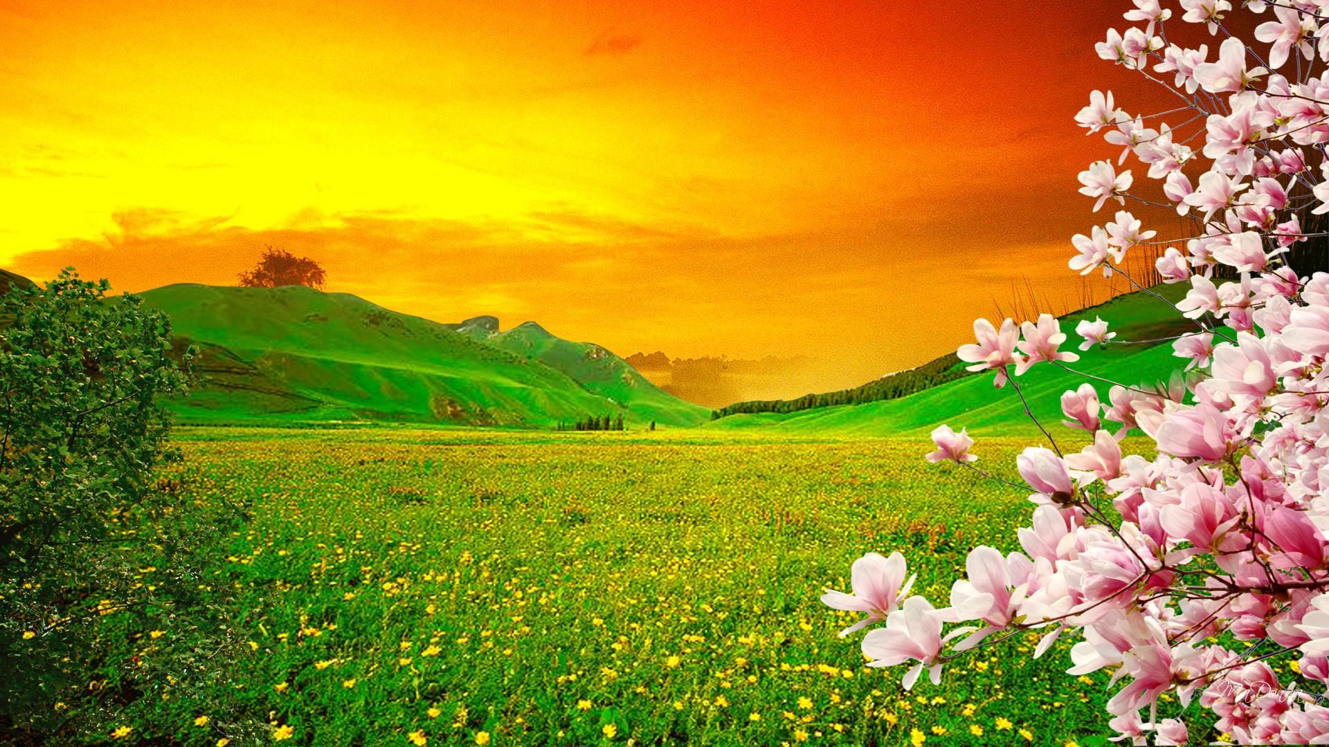 Spring Blooming Trees, Pink Sakura Flowers On Green Meadow With Yellow