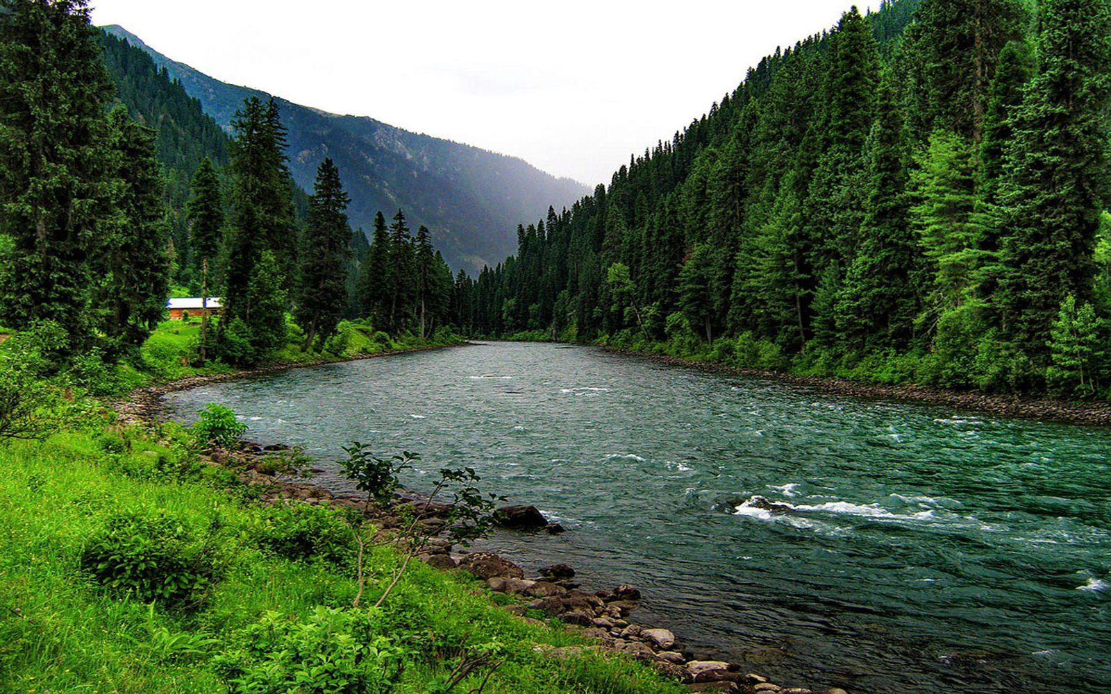 Mountain River Green Grass Dense Pine Forest Mountain Wooden House