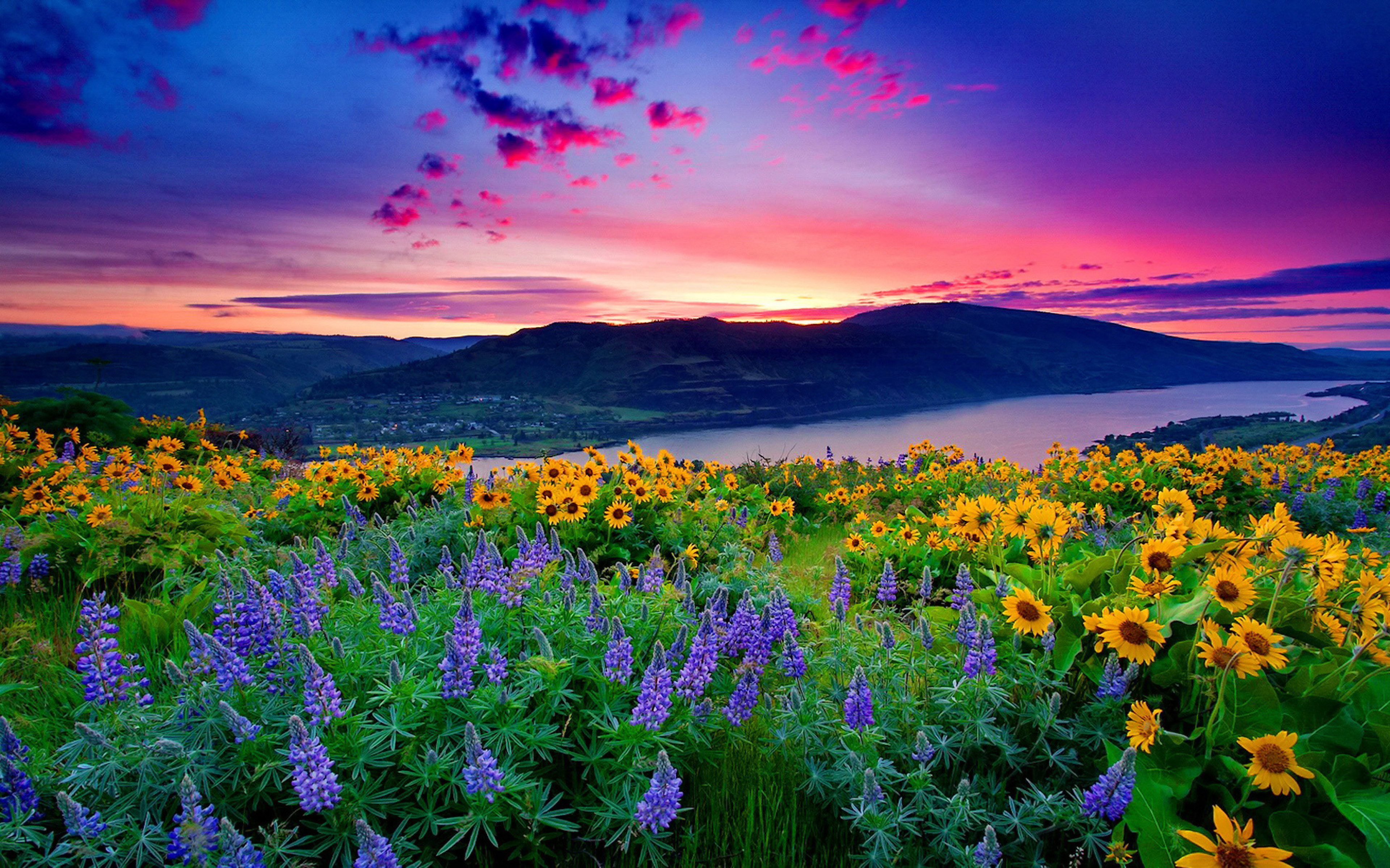 Nature Landscape Yellow Flowers And Blue Mountain Lake Hills Red Cloud 