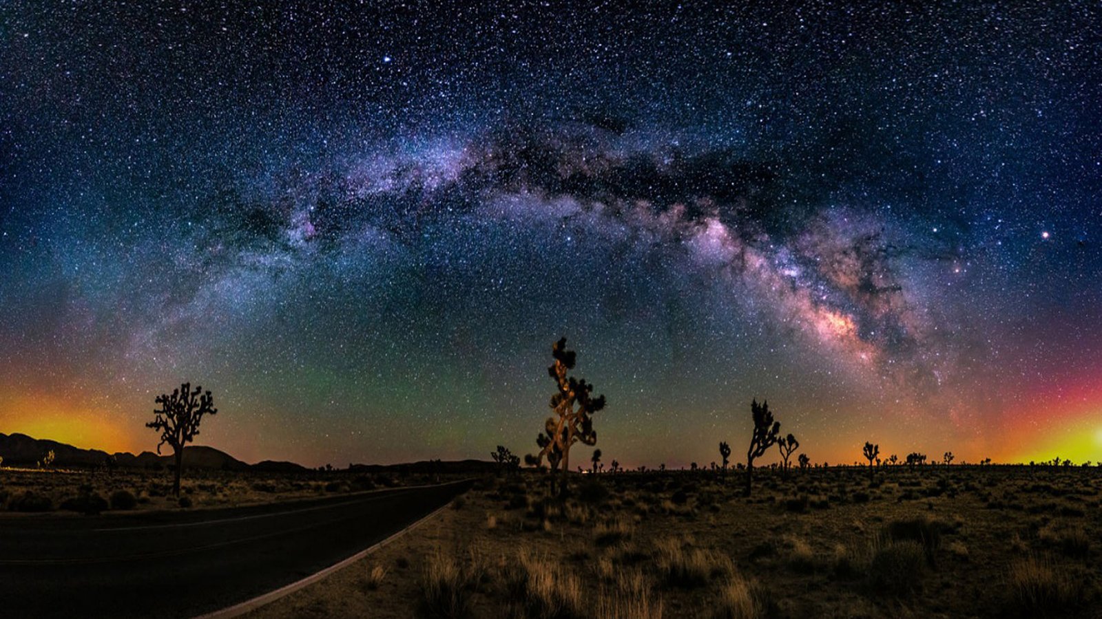 Desert Road Cactus Sunset Sky Star Wallpaper For Desktop : Wallpapers13.com