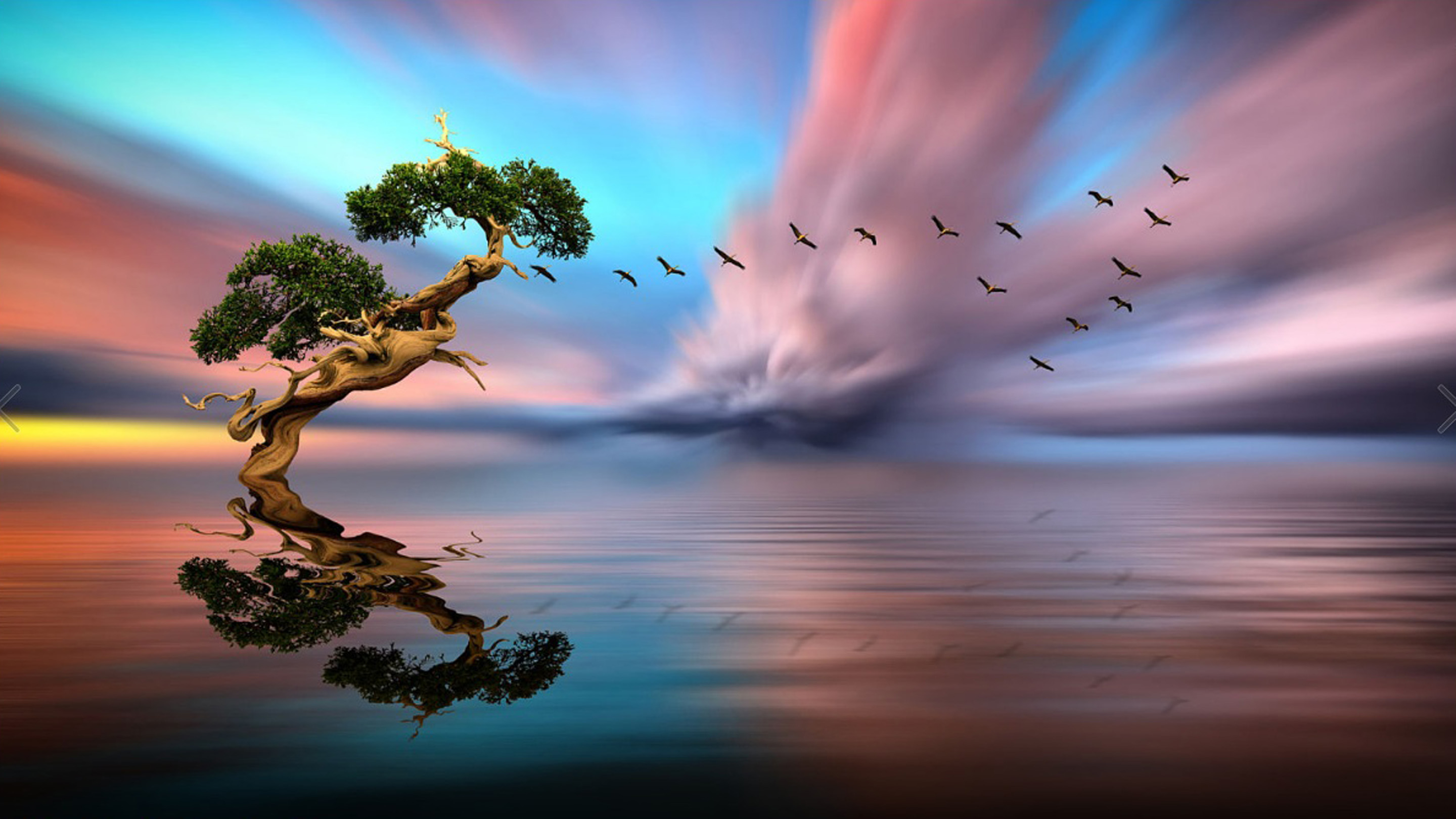 Solitary Tree Lake Birds In Flight Red Cloud Sunset, Reflection In
