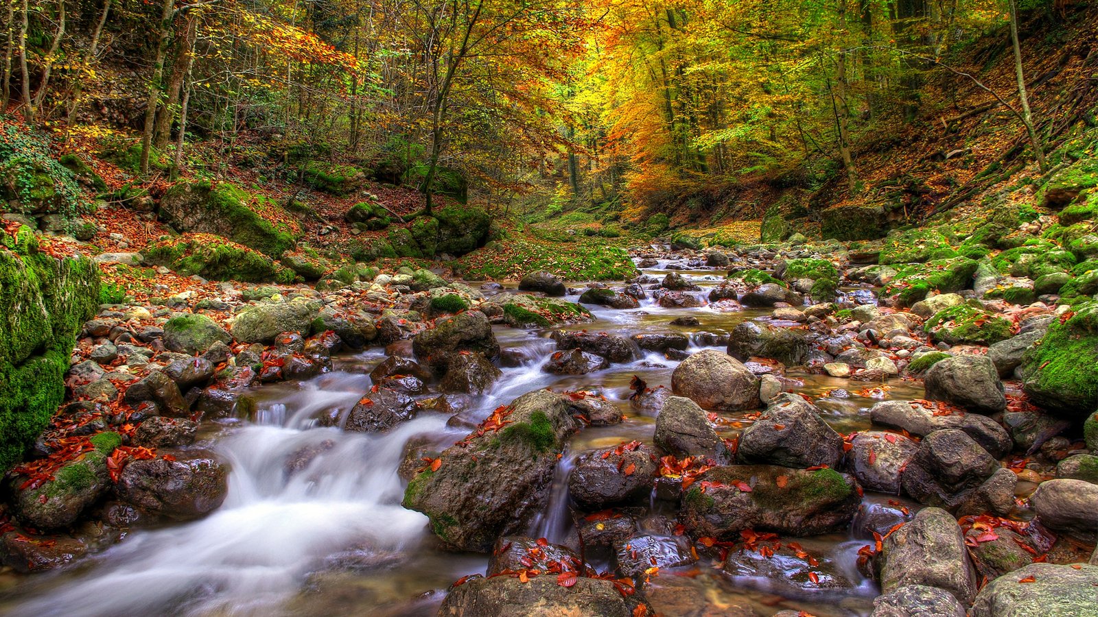 Beautiful Autumn Landscape Background Mountainous River Stone Forest