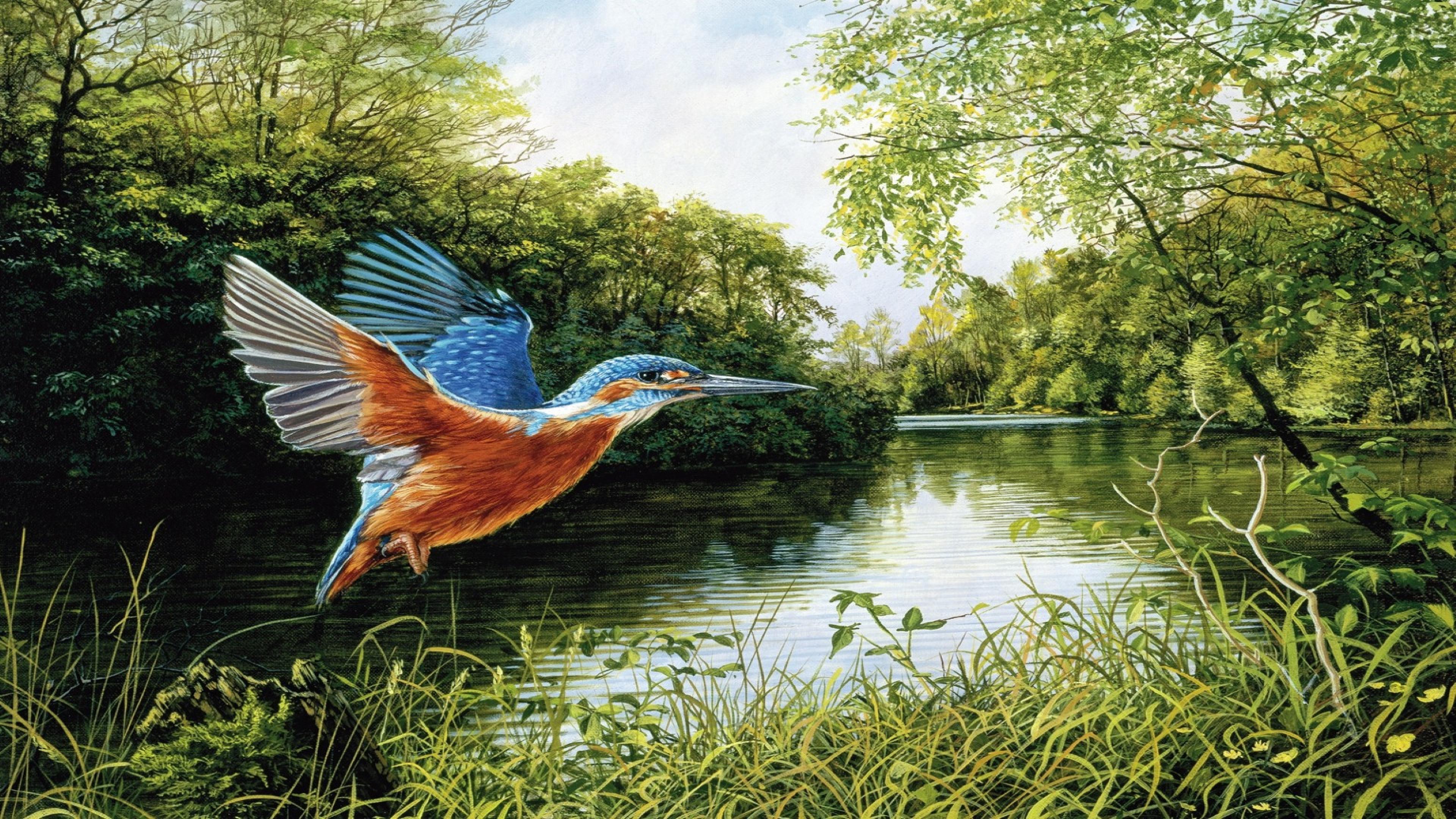 Kingfisher Flight Green Trees, Grass River Art On Canvas