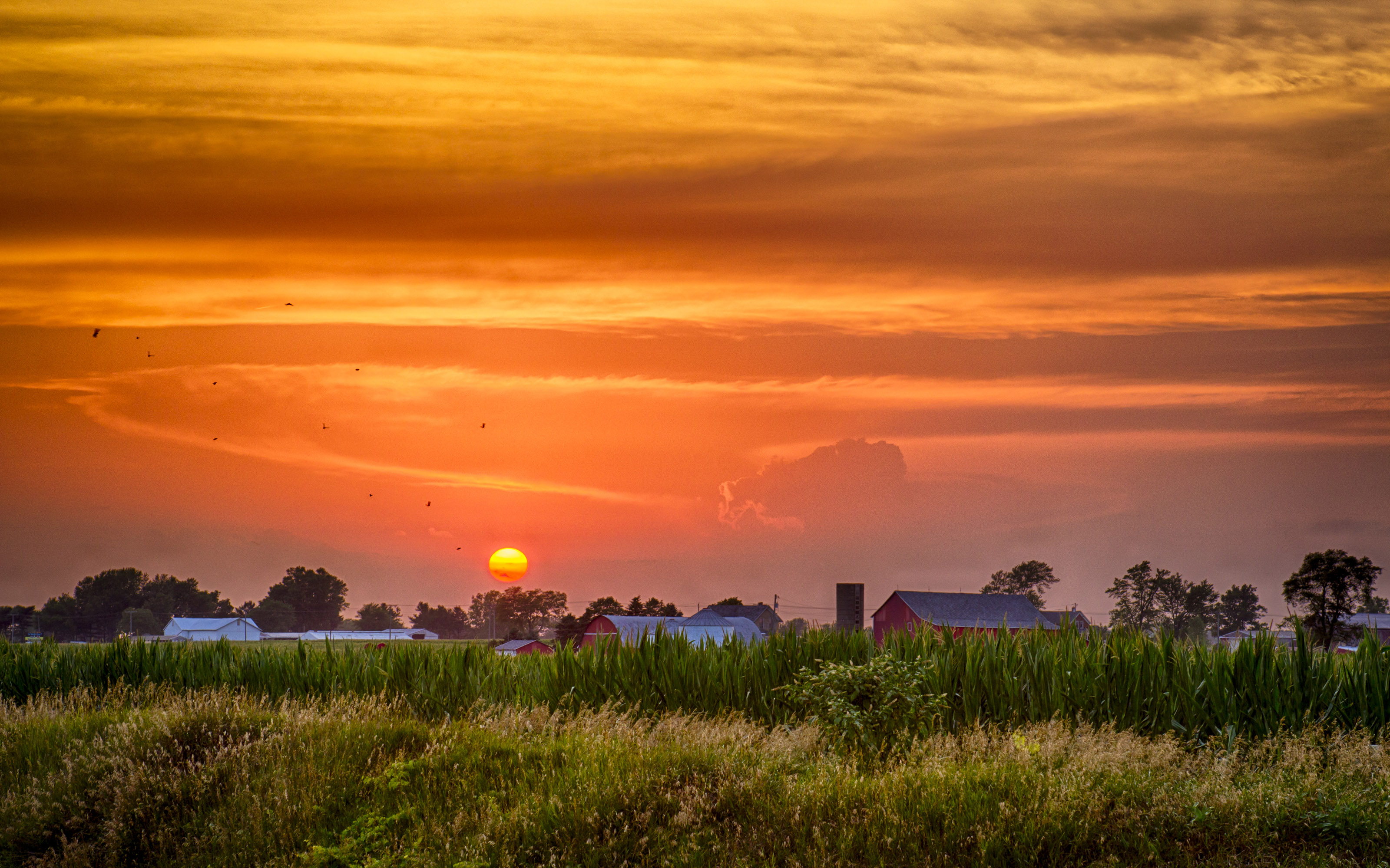 Sunset Picture Near Nappanee, Indiana Usa Wallpaper Widescreen Hd