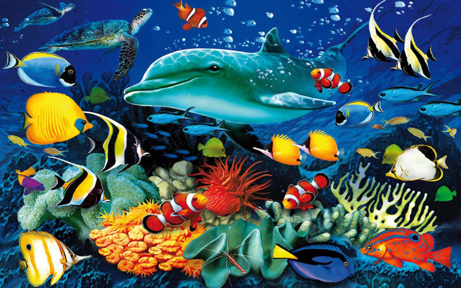 Ocean-underwater-world-Marine-life-dolph