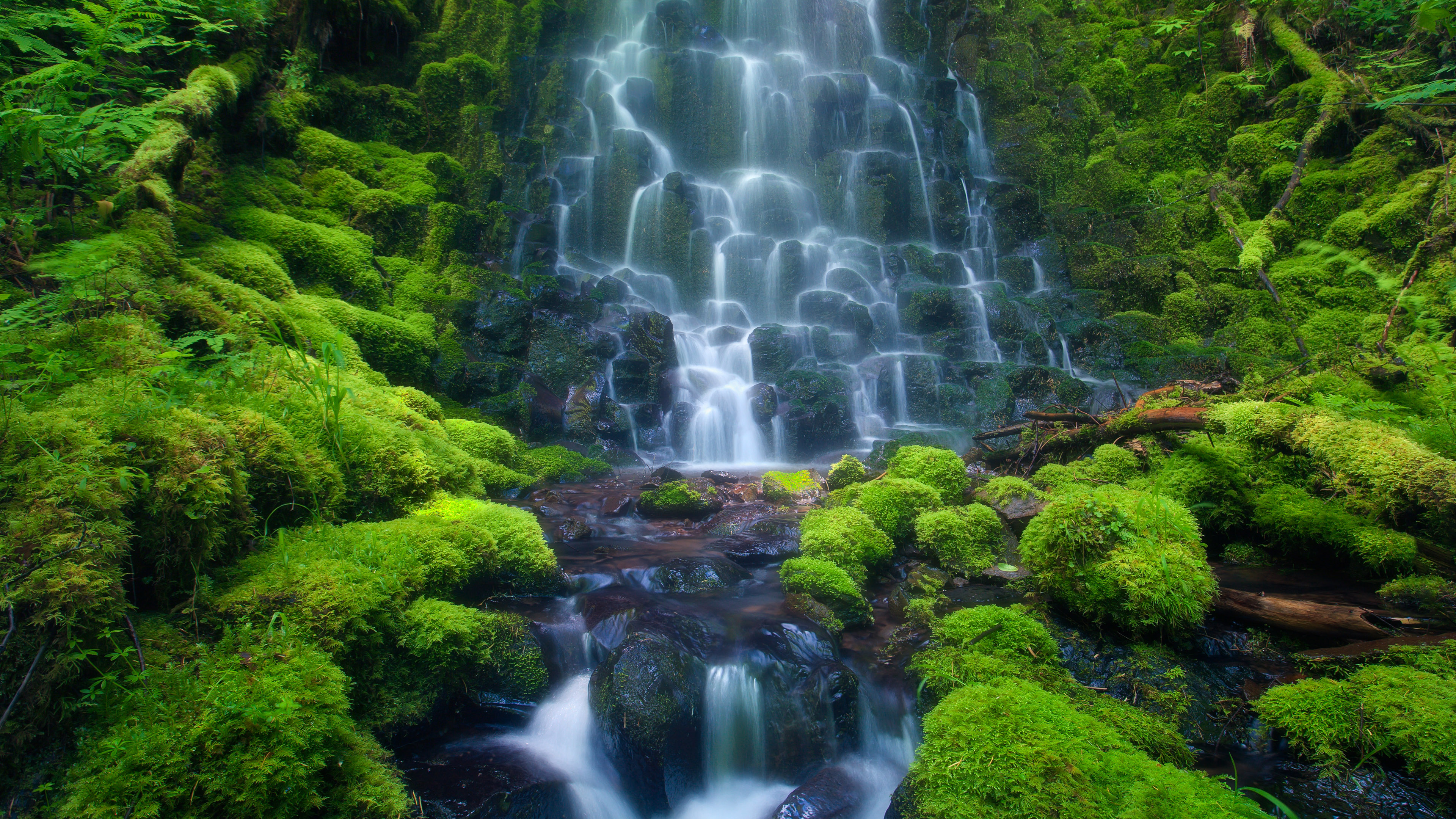 Cascade Waterfall Sensoria Rain Forest Costa Rica Mexico