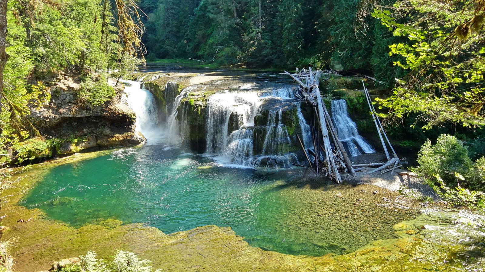 Landscape Lower Lewis River Falls Cascading Waterfalls National Forest