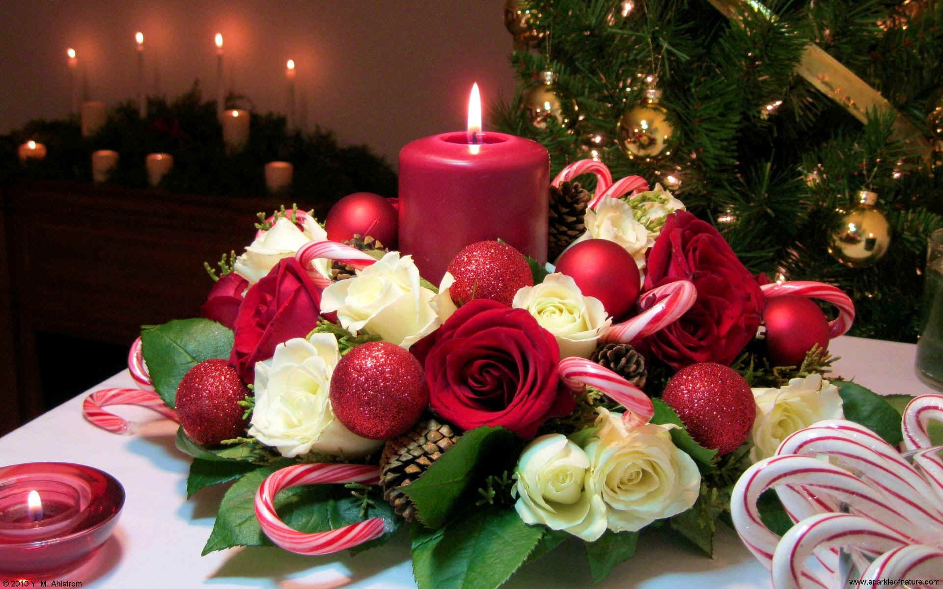 Christmas Candle Bouquet With White And Red Roses Red ...