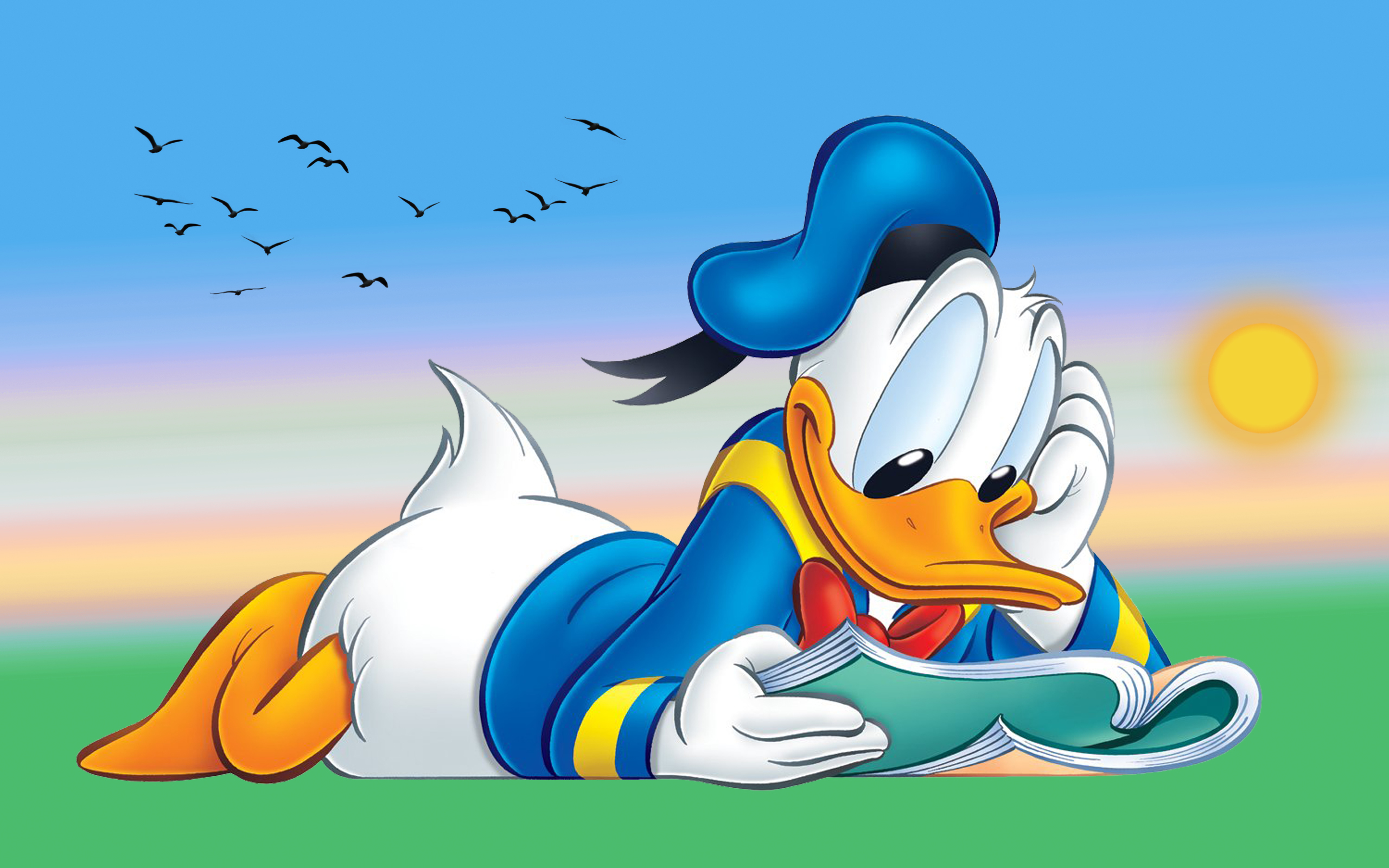 Donald Duck Cartoon Reading Book Desktop Hd Wallpaper For Tablet And Pc