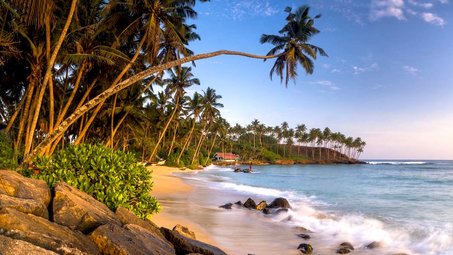 Mirissa Beach South Coast Southern Province Sri Lanka Palm ...