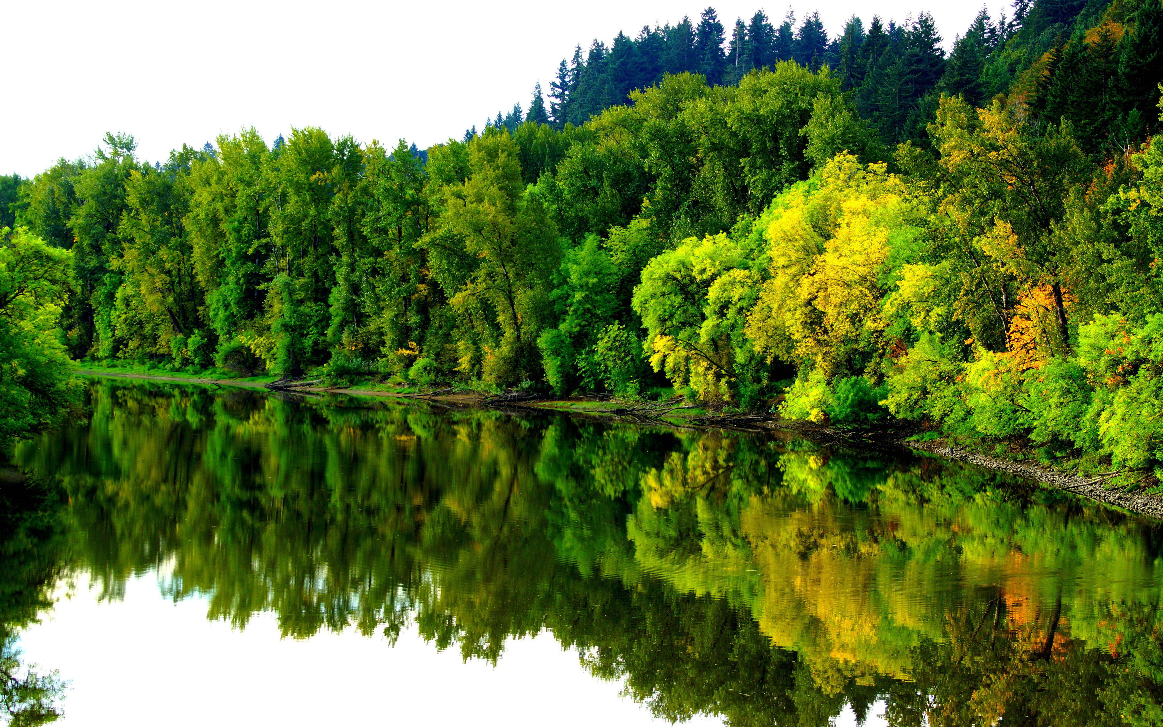river  autumn coast forest trees reflection  water landscape ultra