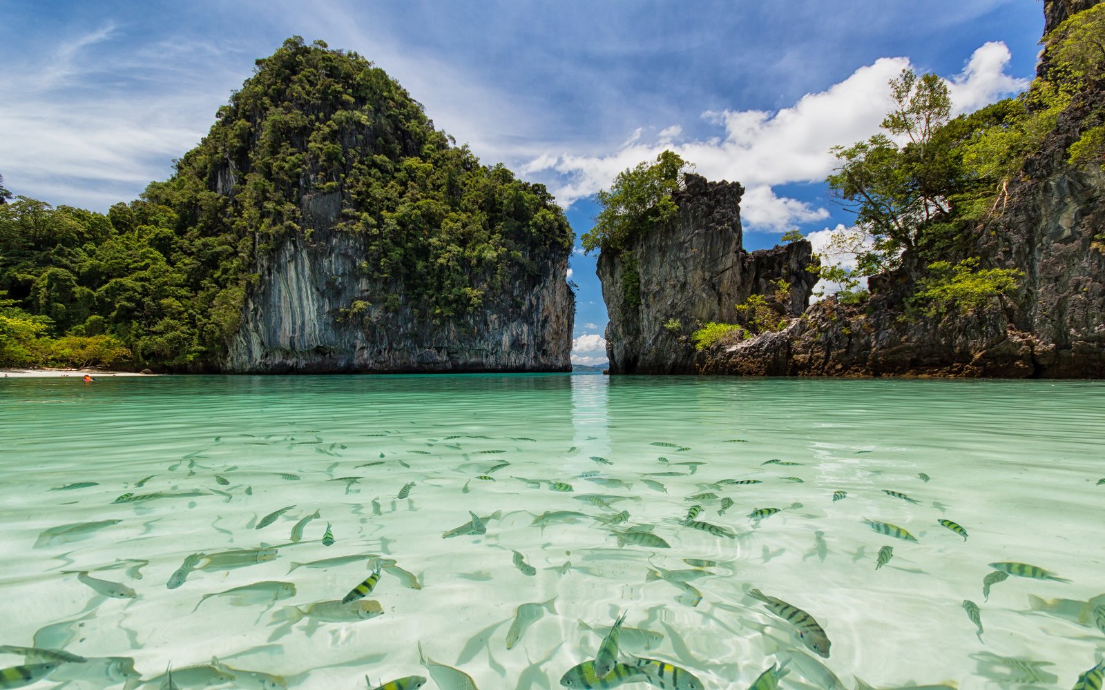 Koh Hong Island Thailand National Sea Park Beach At Hong Island Krabi