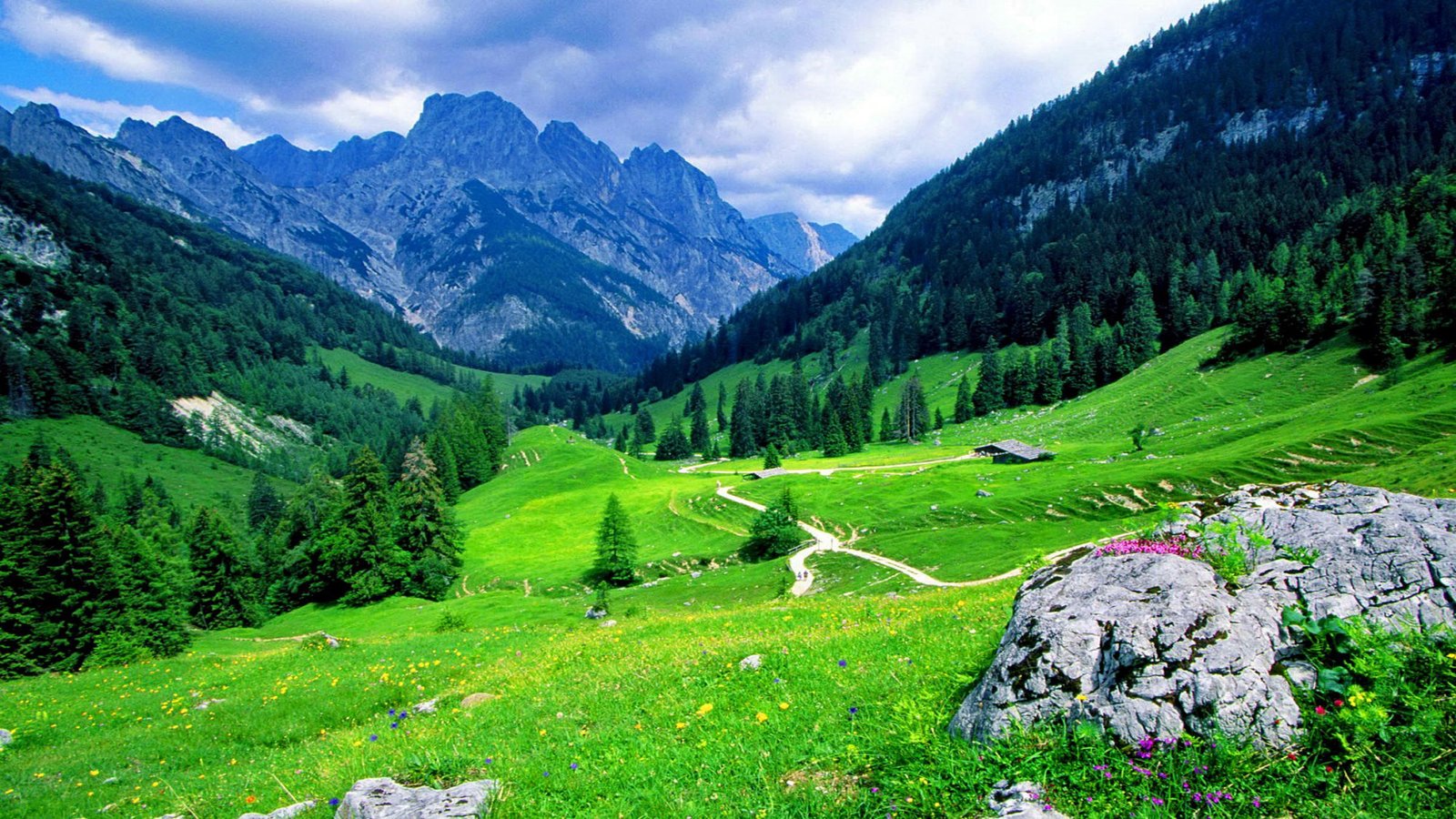 Berchtesgadener Alpen National Park Bavaria Germany Beautiful Green Mountains Landscape 