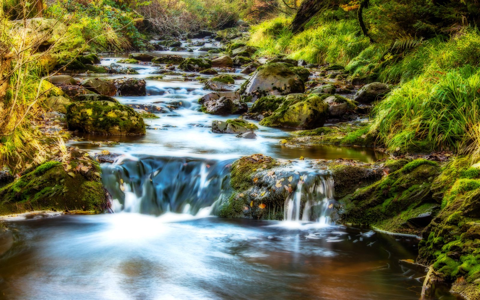 Mountain Stream Water Rocks Rocks Green Moss Grass Forest Waterfall