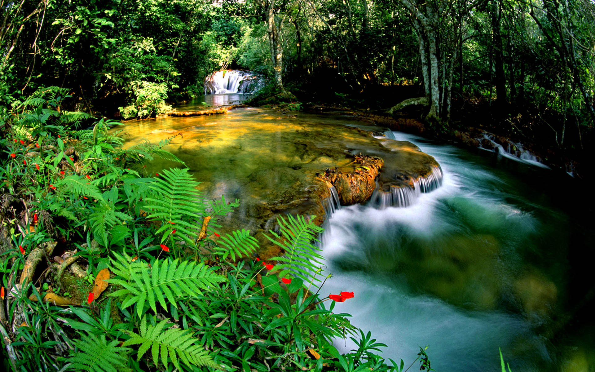Tropical Rainforest Jungle Cascade Waterfall Transparent ...