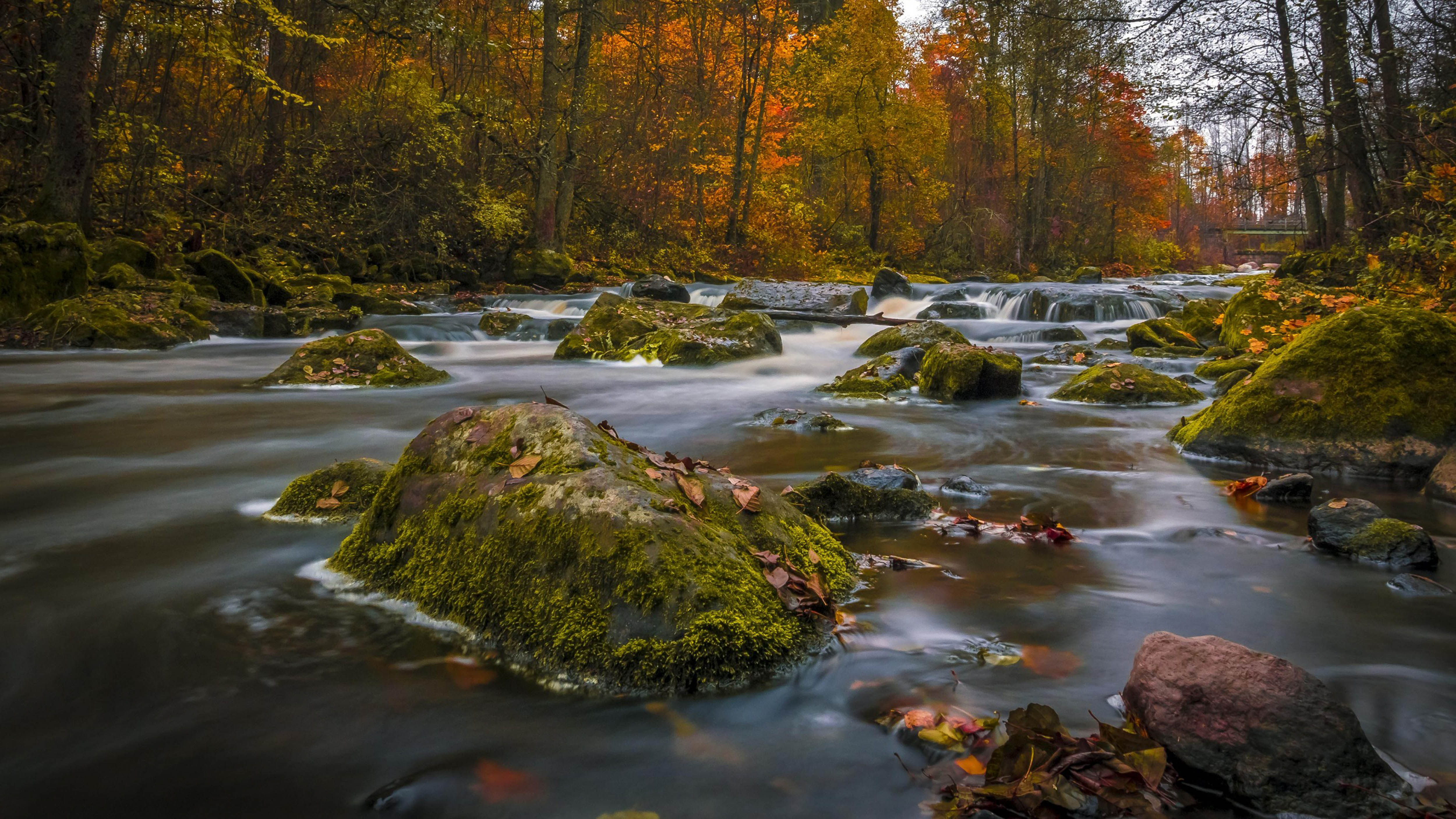 Nature Landscape Autumn Colors Forests Trees River Rocks ...