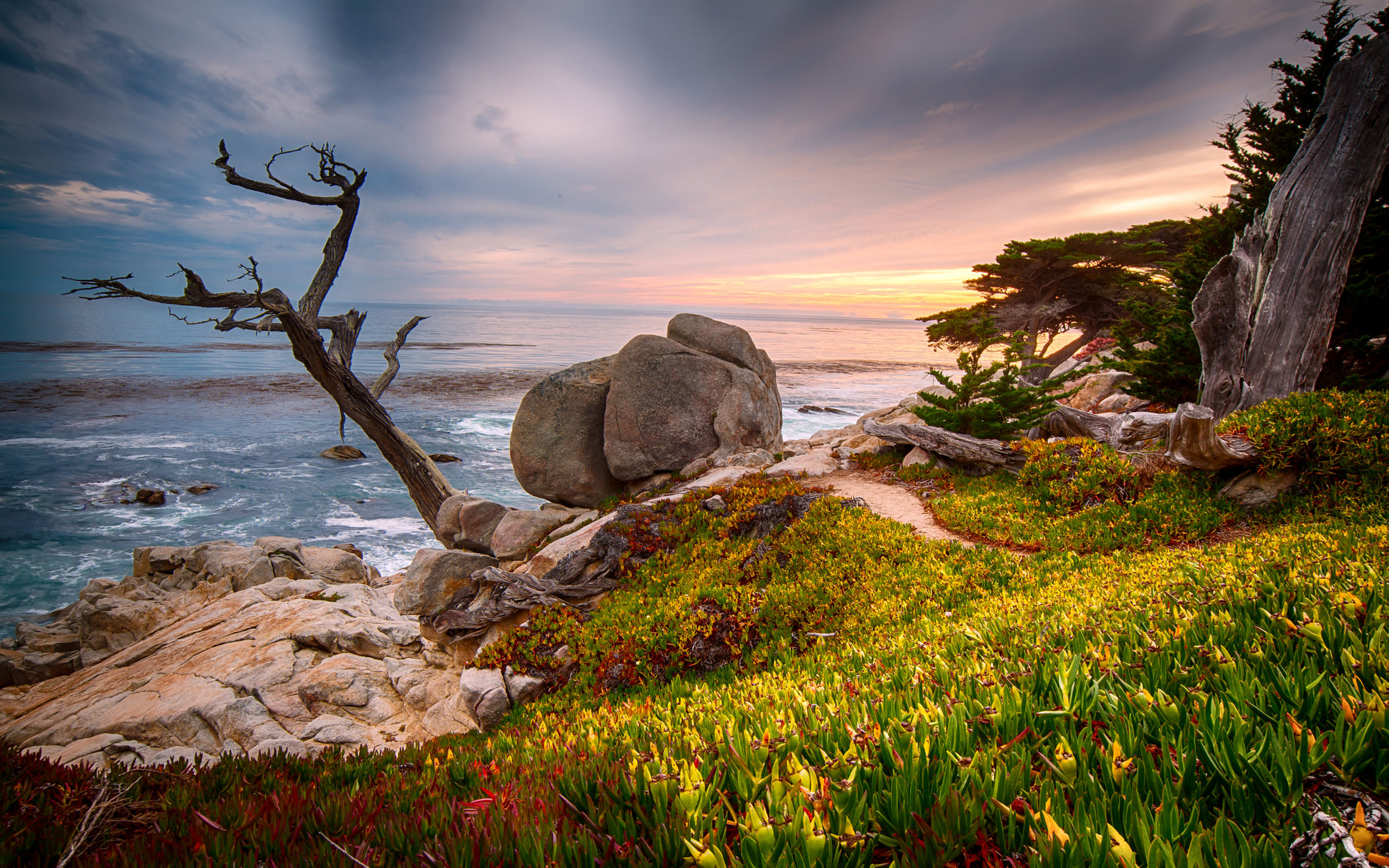 California Usa Coast Near The City Monterey 4k Ultra Hd Tv ...