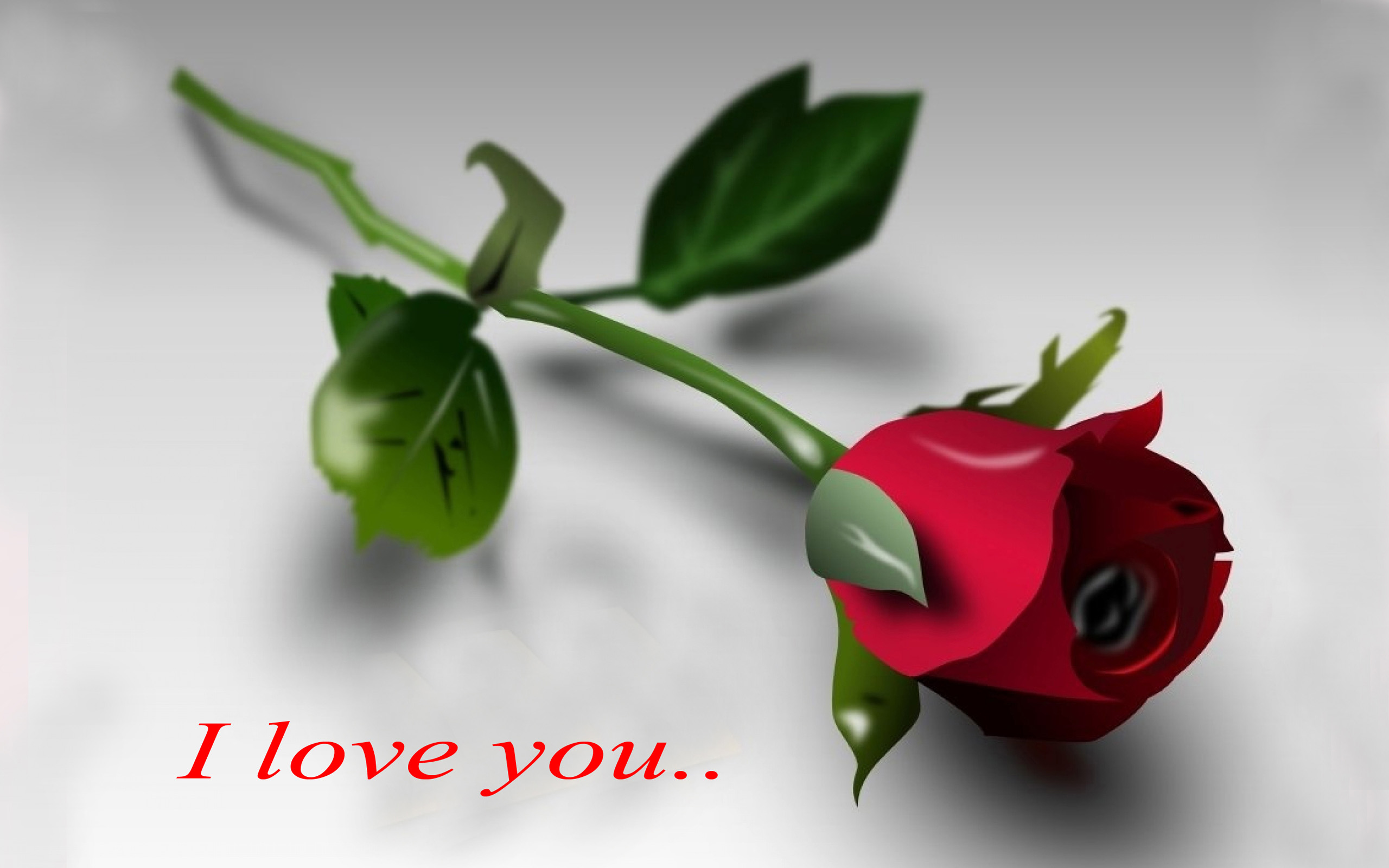 3d Art Abstract Red Rose I love you Wallpaper Hd : 