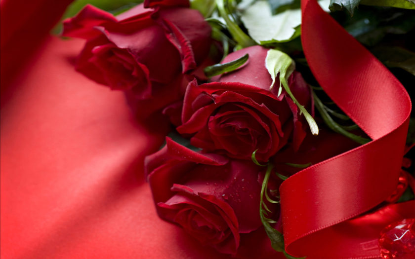 Beautiful Roses red roses Flowers Images Wallpaper Hd : 