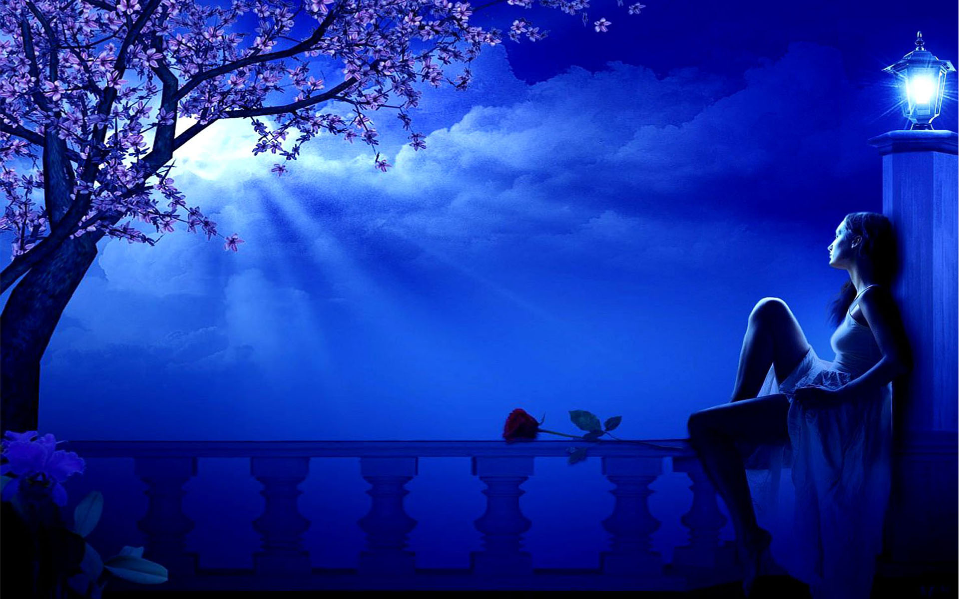 Blue Moon spring night girl dreamer blossoming tree street lamp romantic Wallpaper  HD for Desktop : 