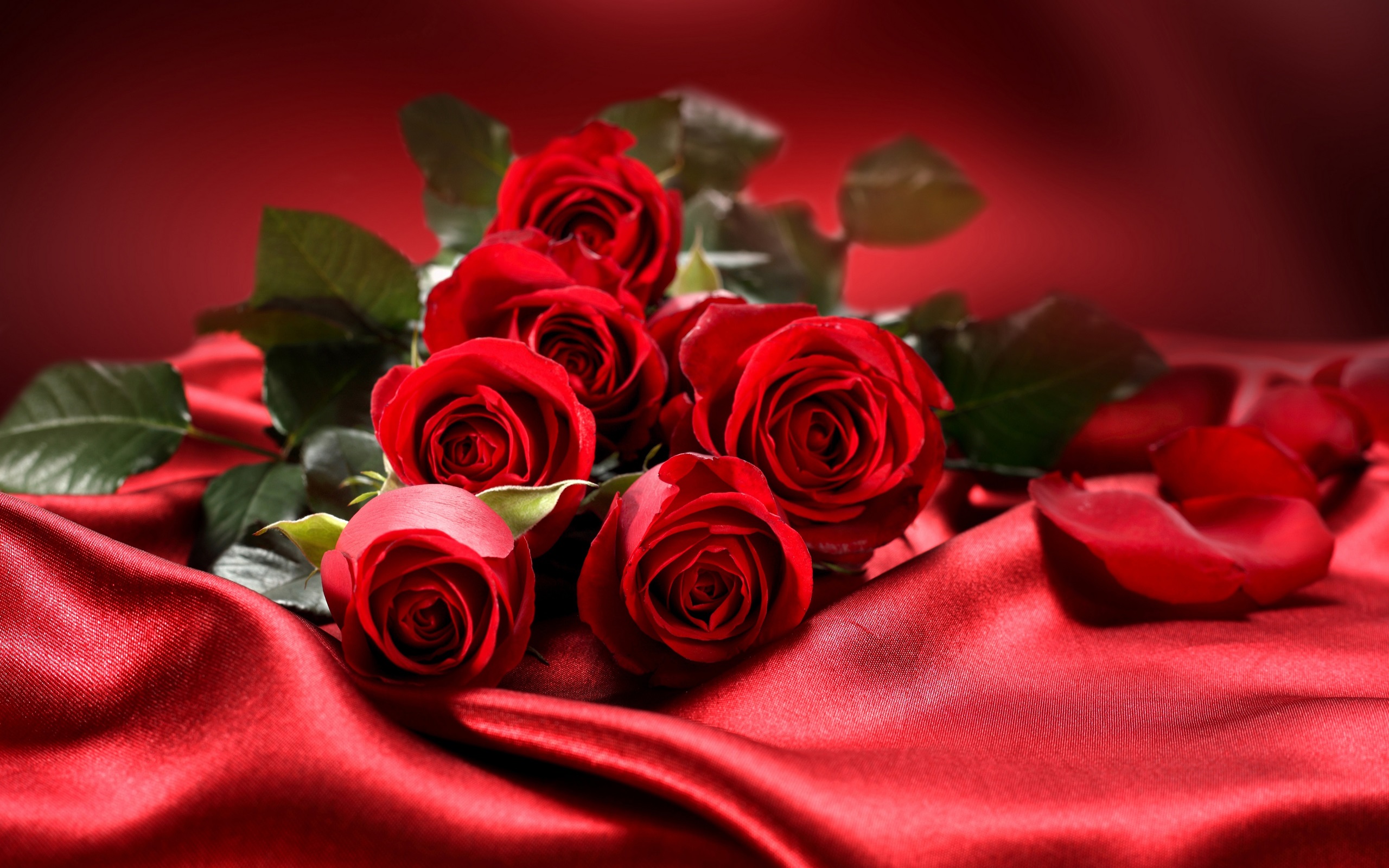 Bouquet Flowers Red Roses Love Valentine S Day 2560x1600 : Wallpapers13.com