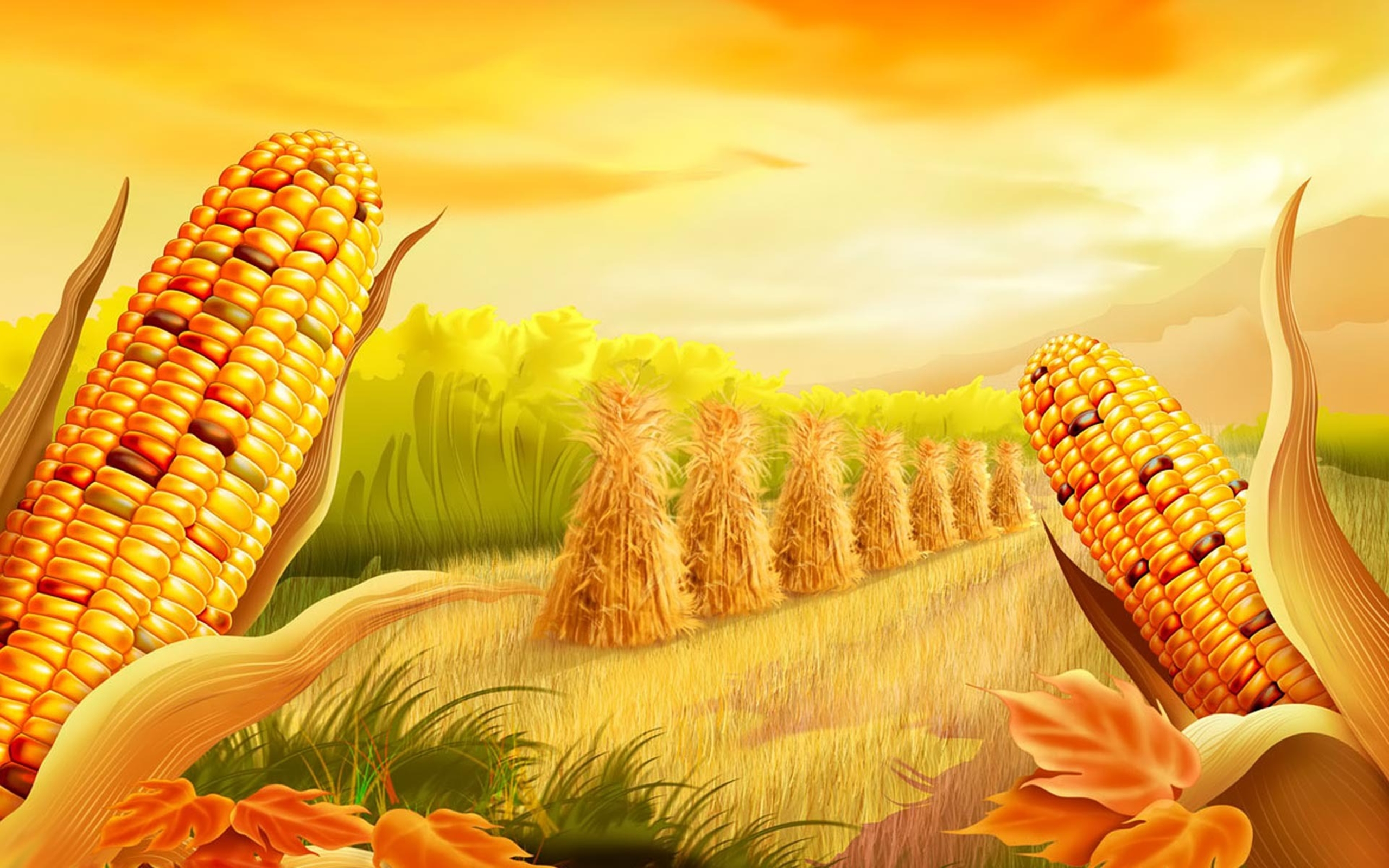 Corn Field Sunset 4K wallpaper download