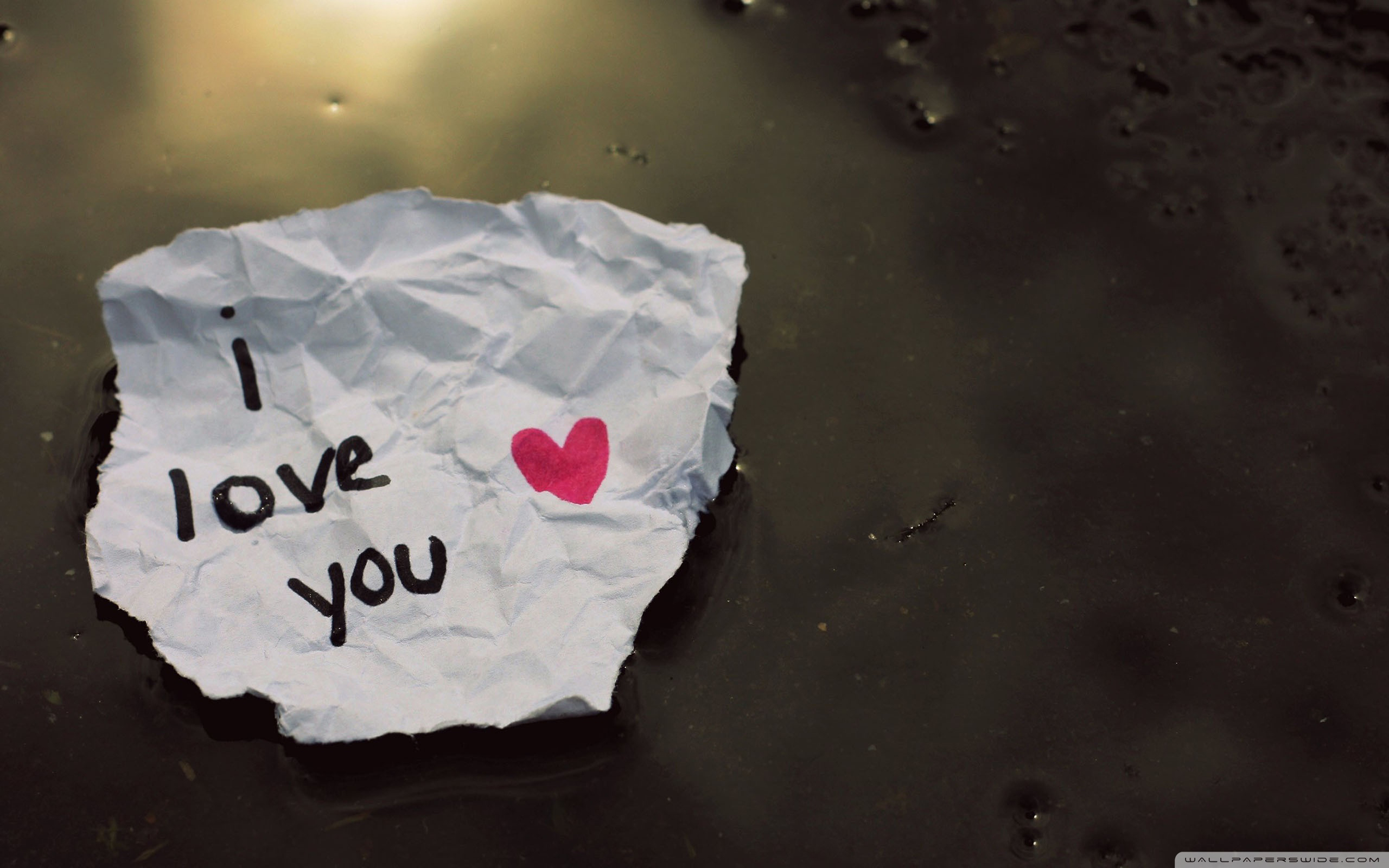 I Love You Message Wallpaper 2560x1600 : 