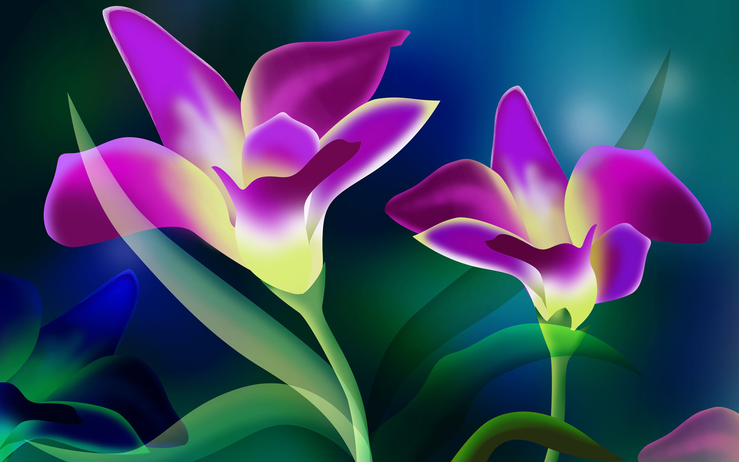 Beautiful Flower Wallpaper Hd Free Download 1704 Wallpapers13 Com