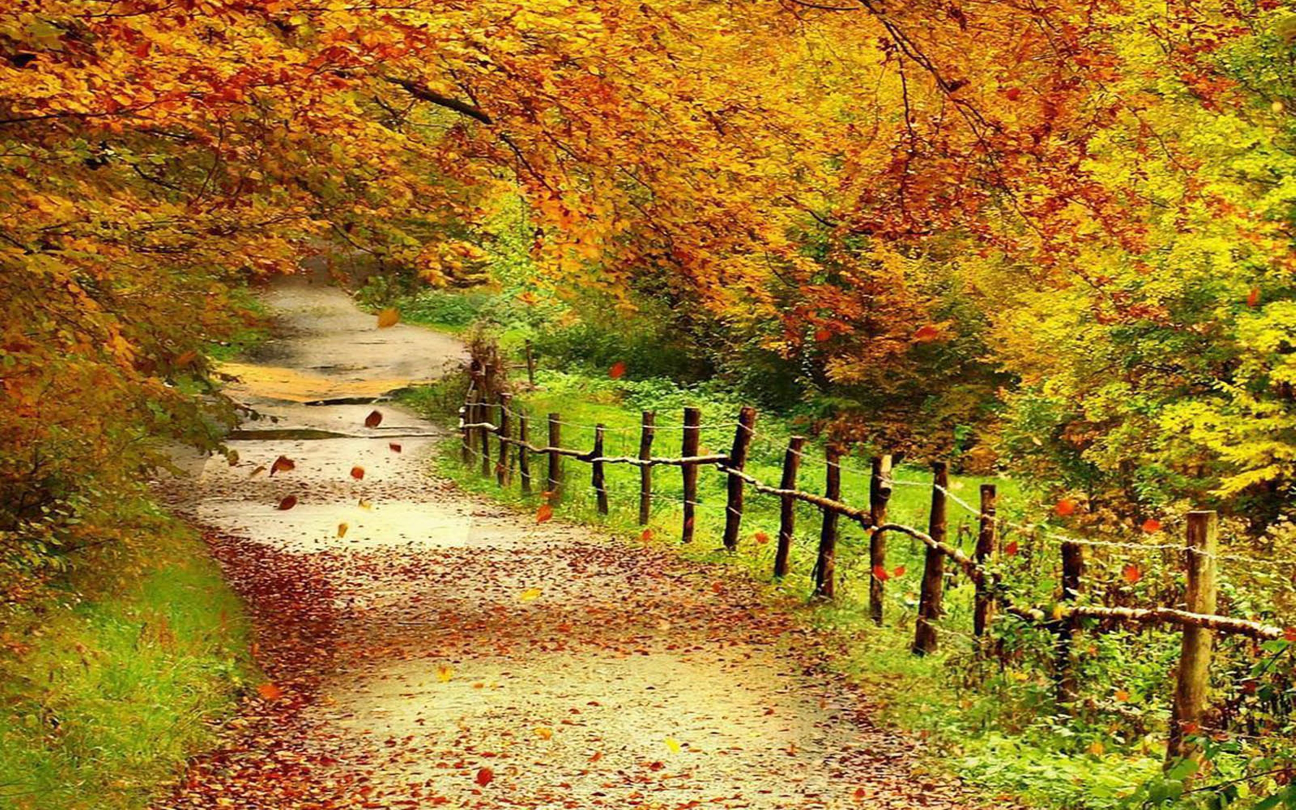 Beautiful Autumn Scenery Wallpapers Full Hd Wallpaper ...